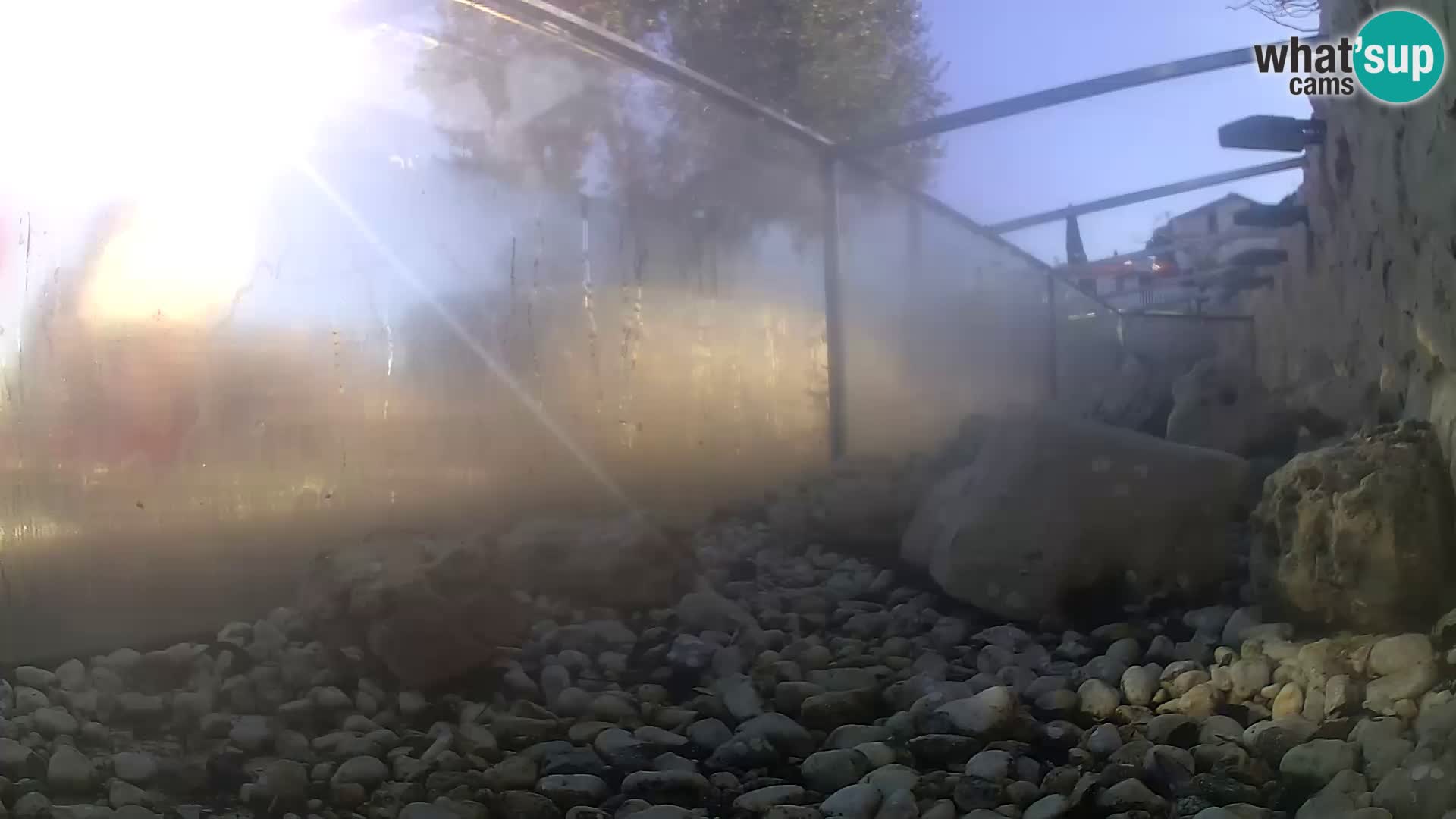 Zunanji morski akvarij Rogoznica spletna kamera Hrvaška