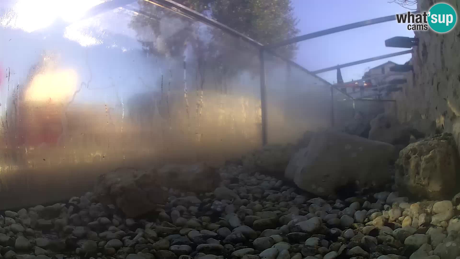 Zunanji morski akvarij Rogoznica spletna kamera Hrvaška