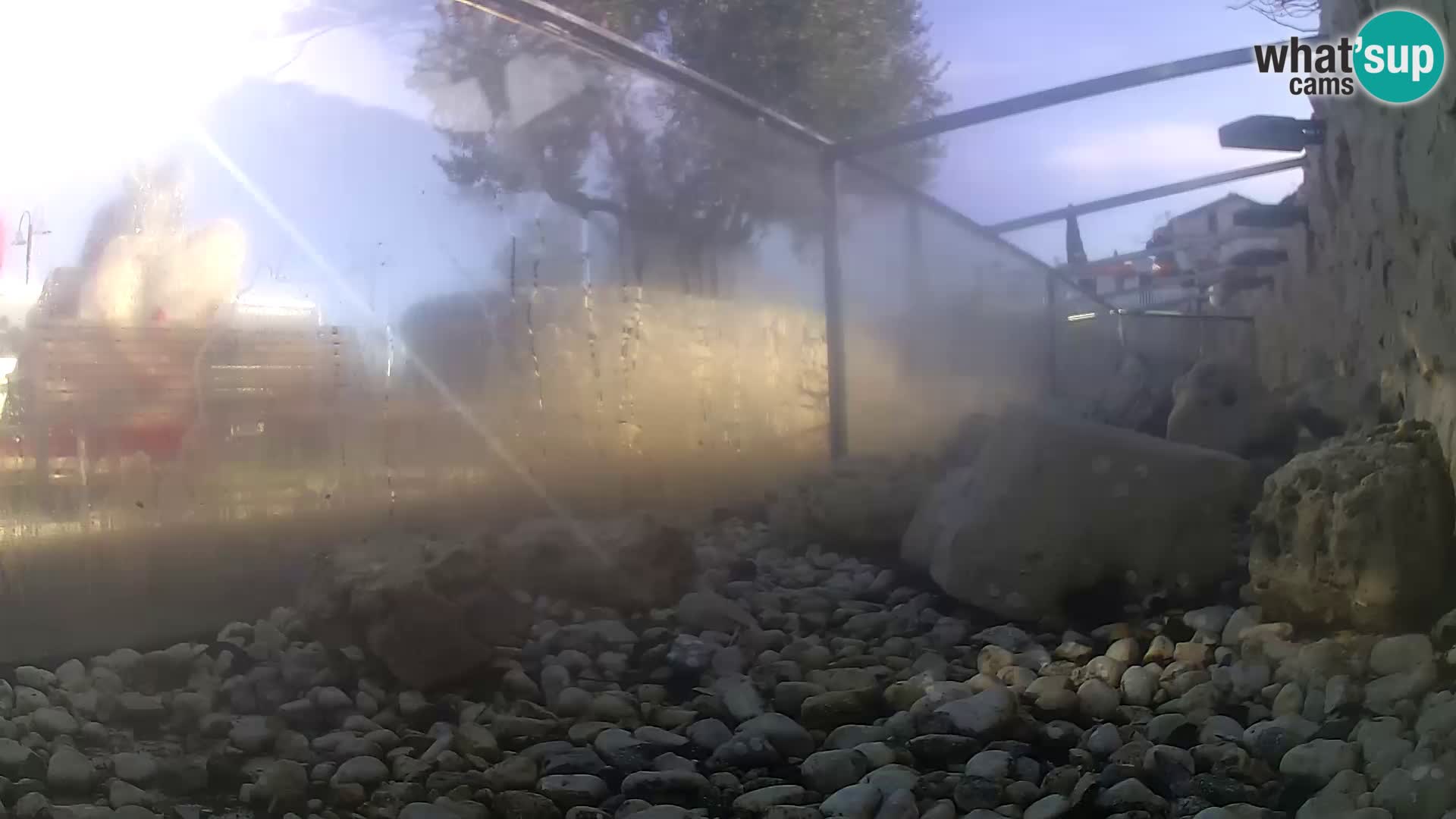 Webcam de l’aquarium marin extérieur de Rogoznica Croatie