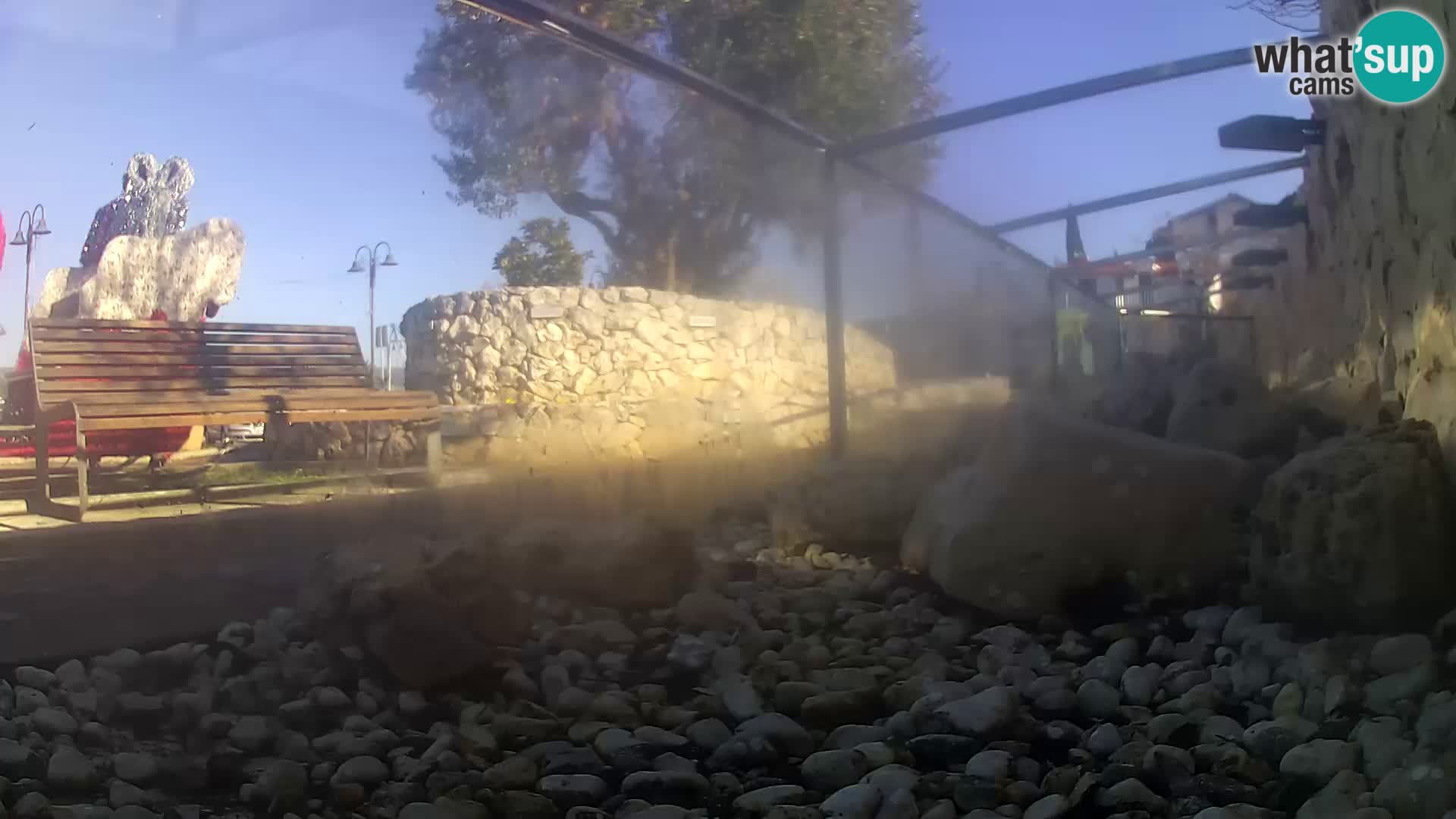 Acuario marino al aire libre Rogoznica webcam Croacia