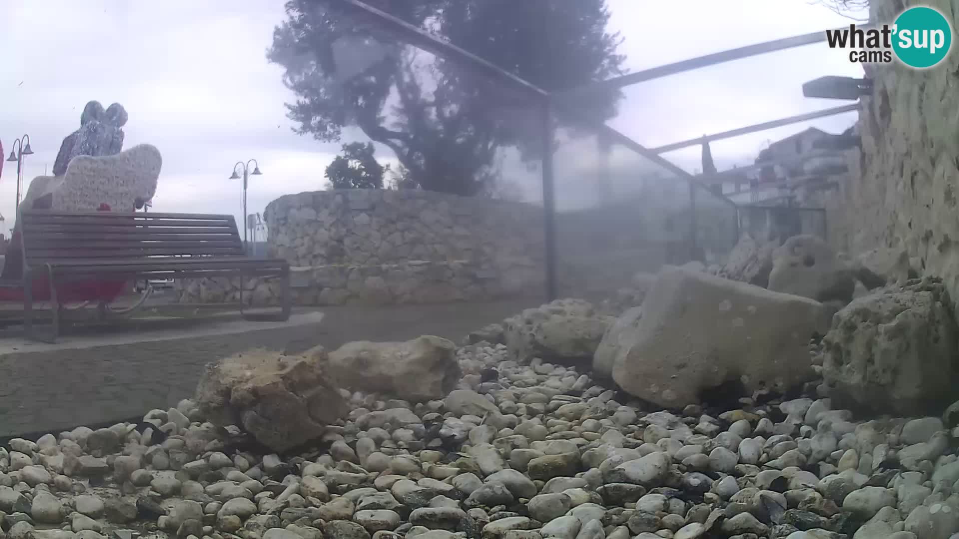 Webcam de l’aquarium marin extérieur de Rogoznica Croatie