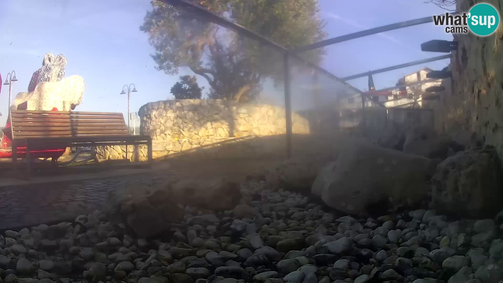 Aquario marino esterno – Rogoznica livecam Croazia