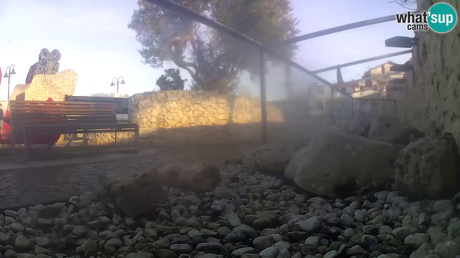 Outdoor Marine Aquarium Rogoznica webcam Croatia