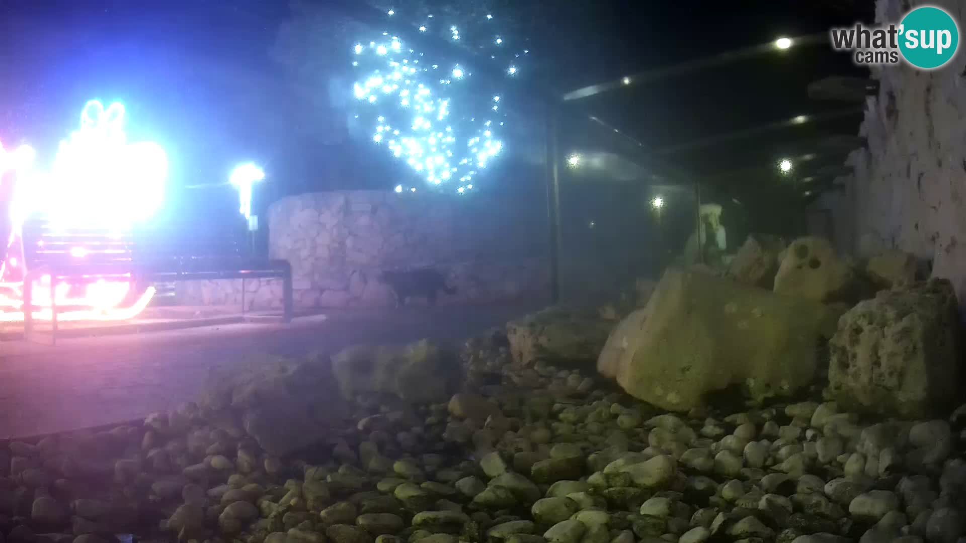 Acuario marino al aire libre Rogoznica webcam Croacia
