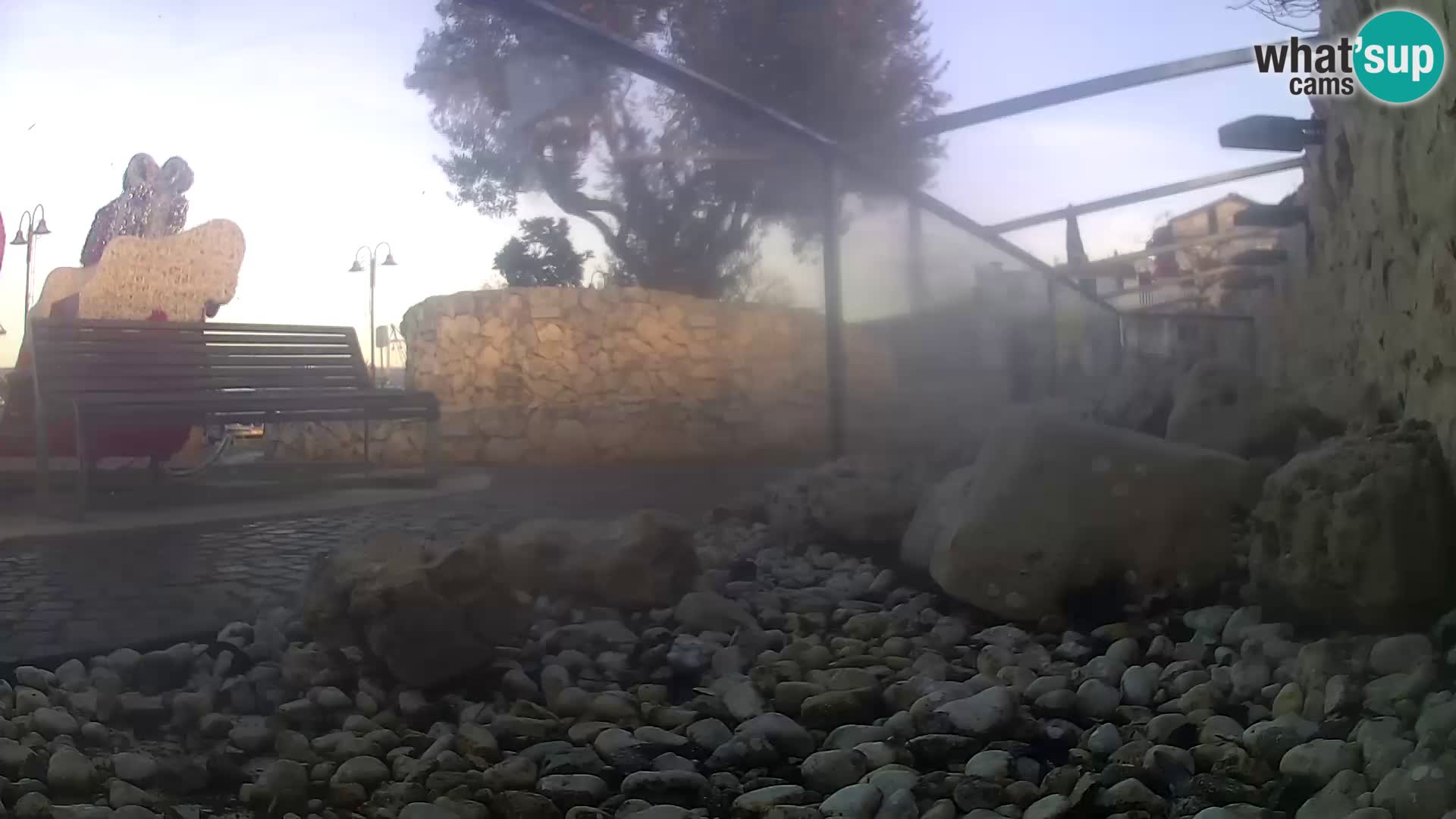 Outdoor Marine Aquarium Rogoznica webcam Croatia