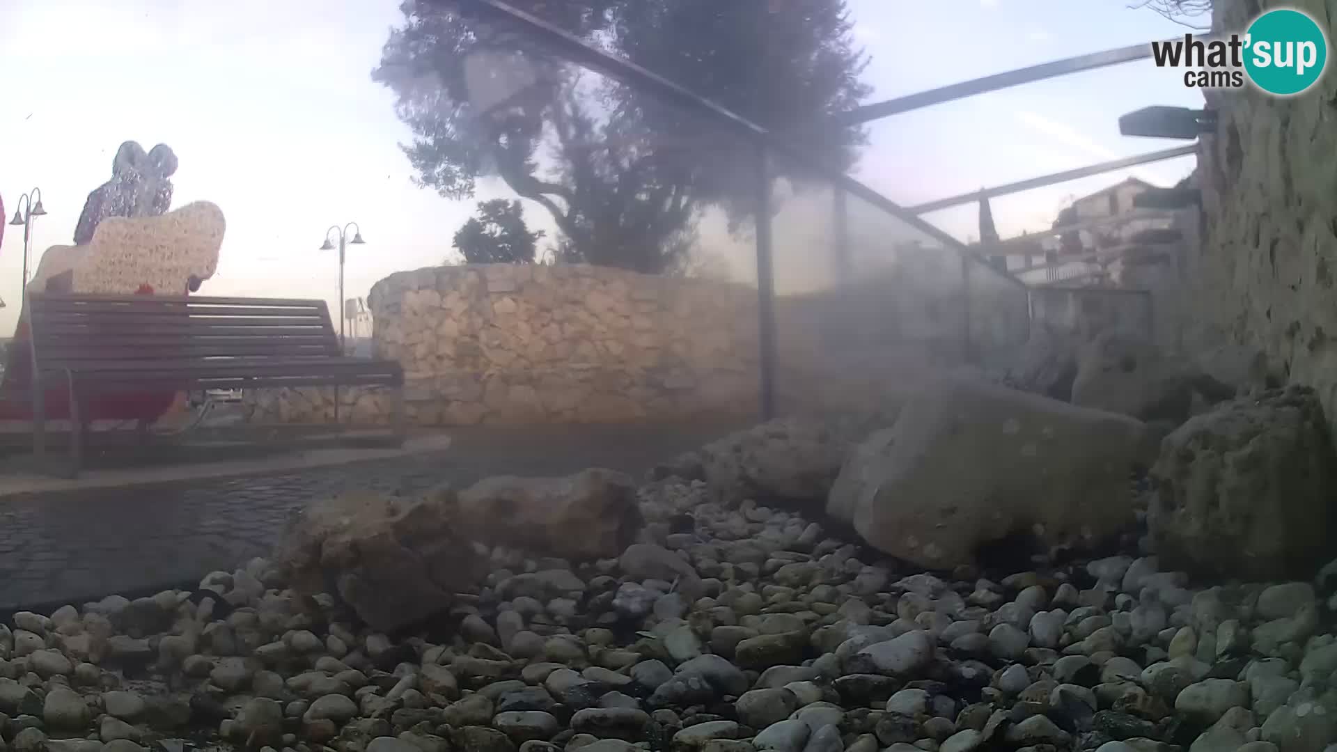 Acuario marino al aire libre Rogoznica webcam Croacia