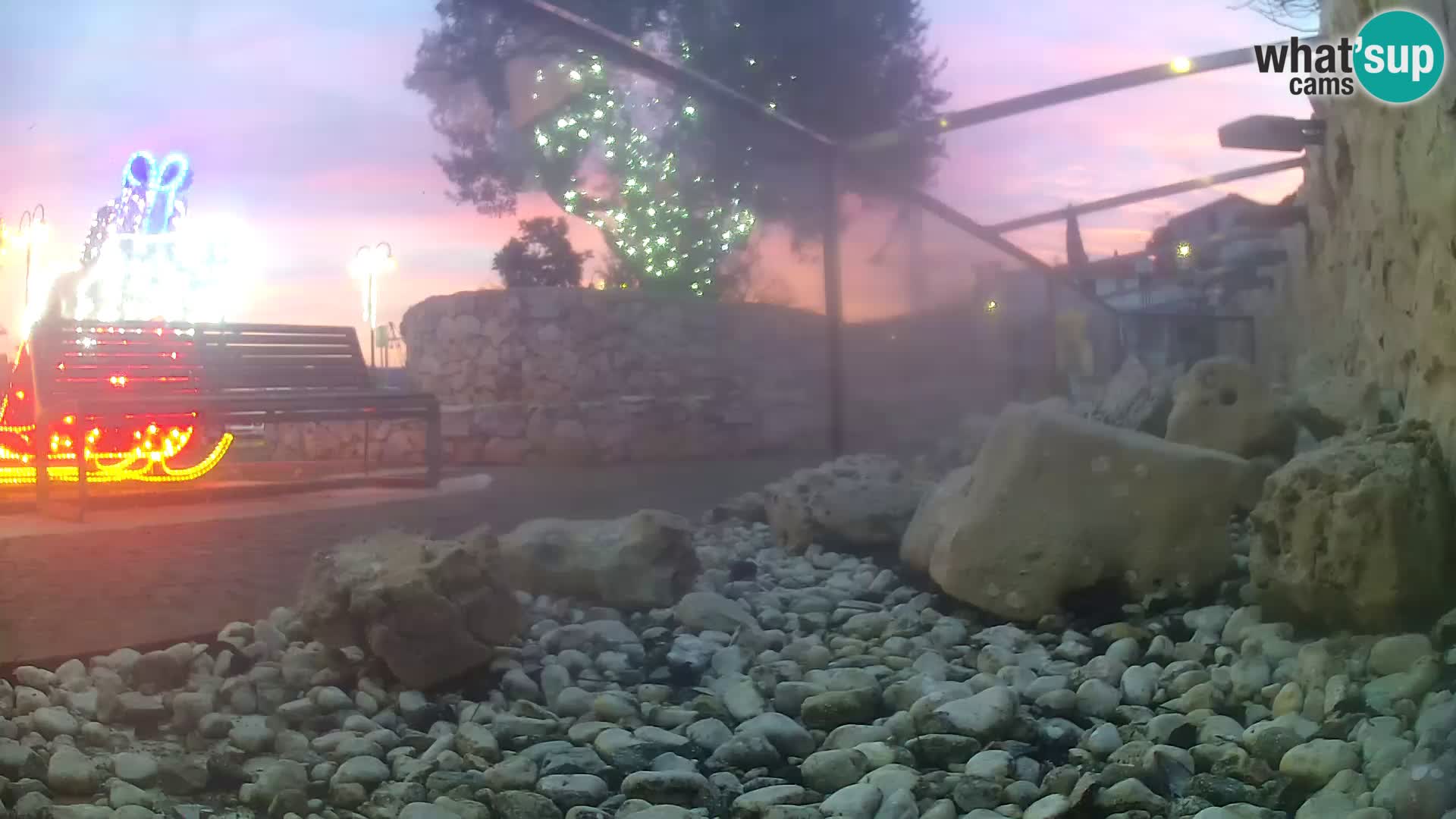 Zunanji morski akvarij Rogoznica spletna kamera Hrvaška