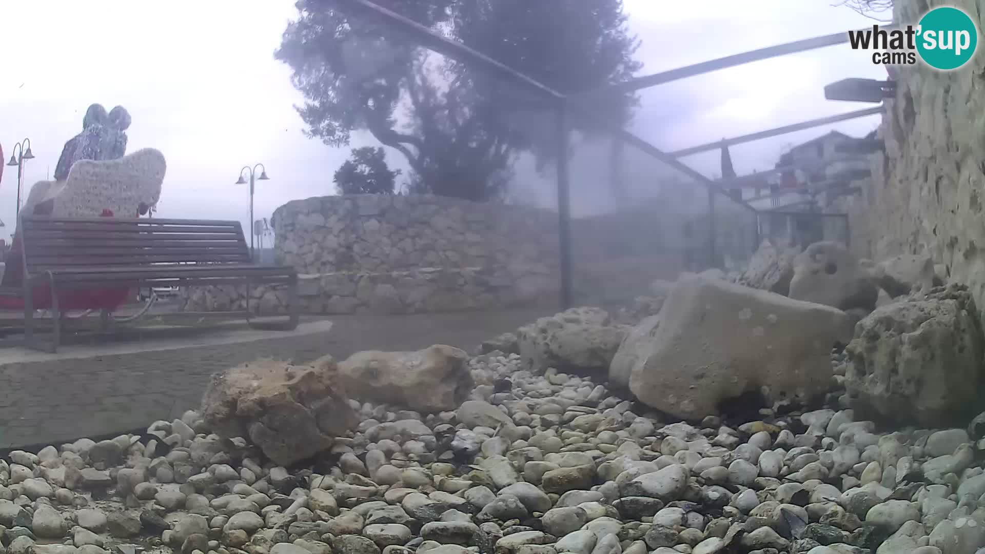 Aquario marino esterno –  Rogoznica livecam Croazia