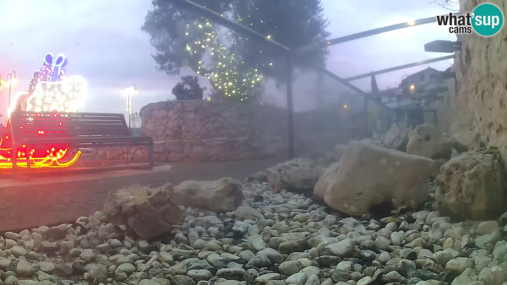 Zunanji morski akvarij Rogoznica spletna kamera Hrvaška