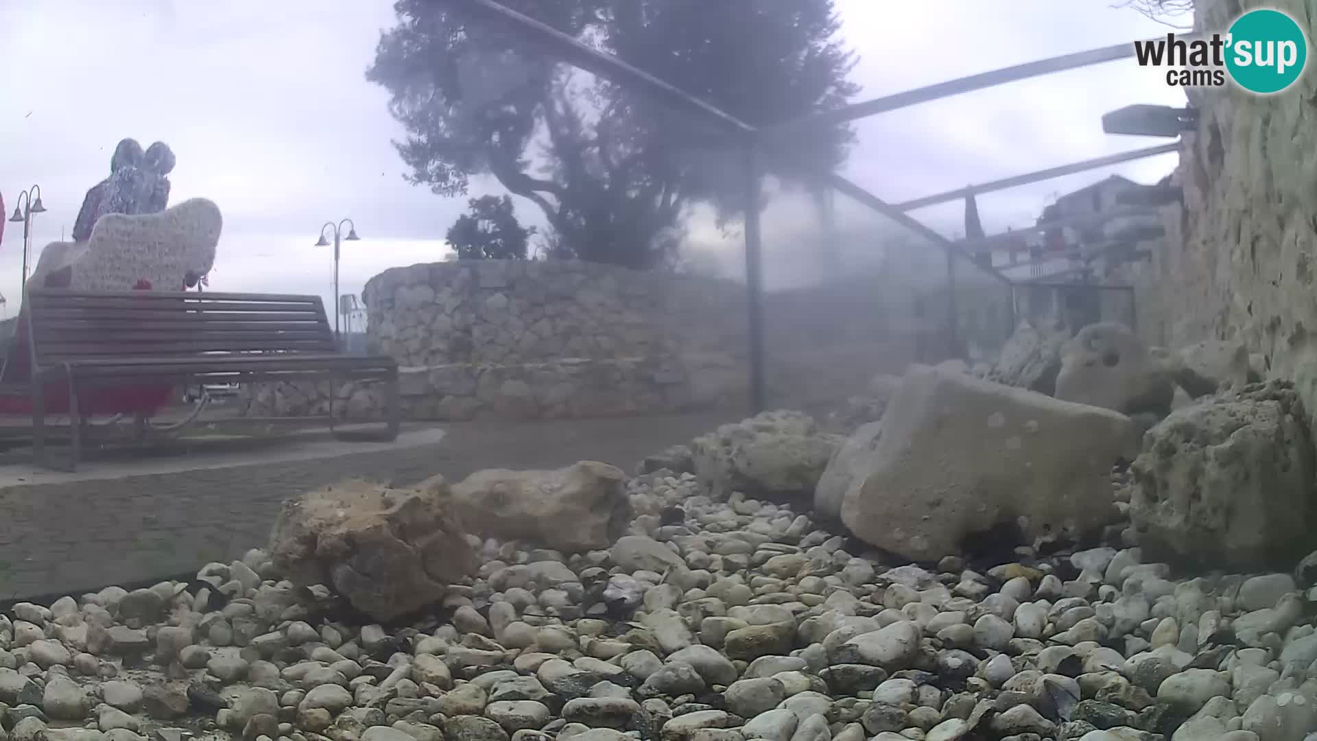 Acuario marino al aire libre Rogoznica webcam Croacia