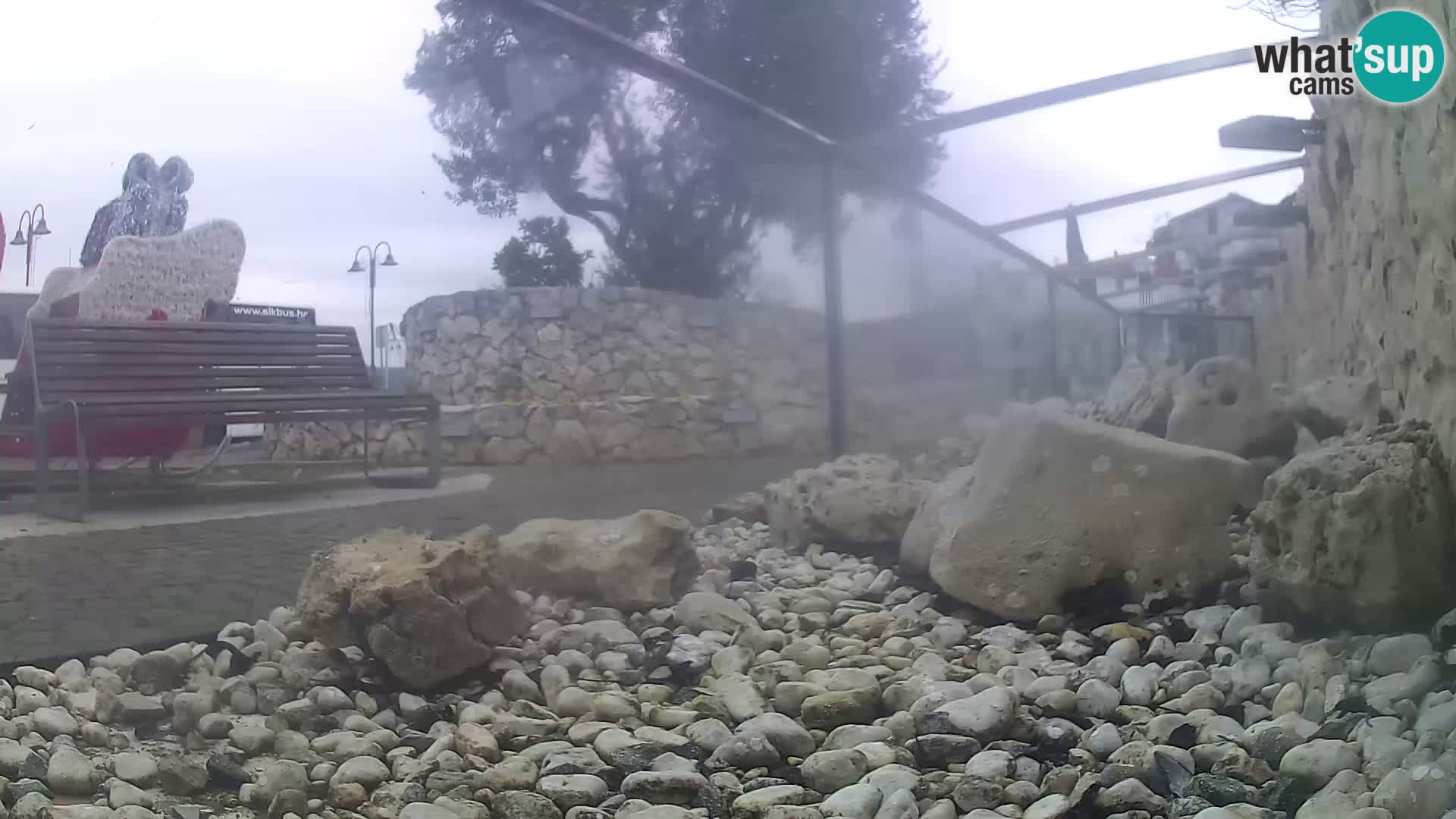 Aquario marino esterno –  Rogoznica livecam Croazia