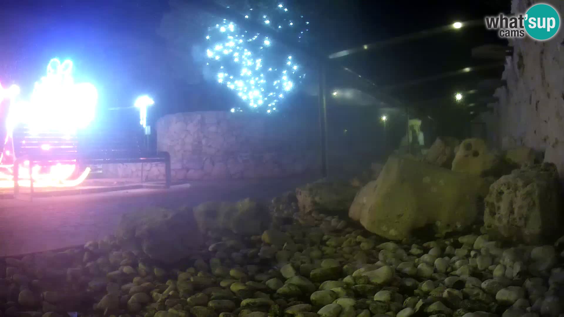 Acuario marino al aire libre Rogoznica webcam Croacia