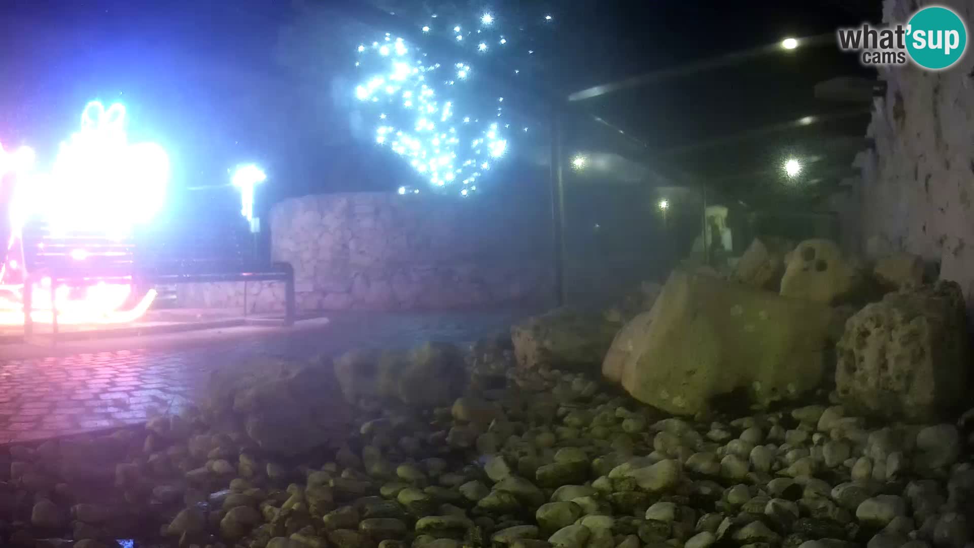 Vanjski morski akvarij Rogoznica web kamera Hrvatska