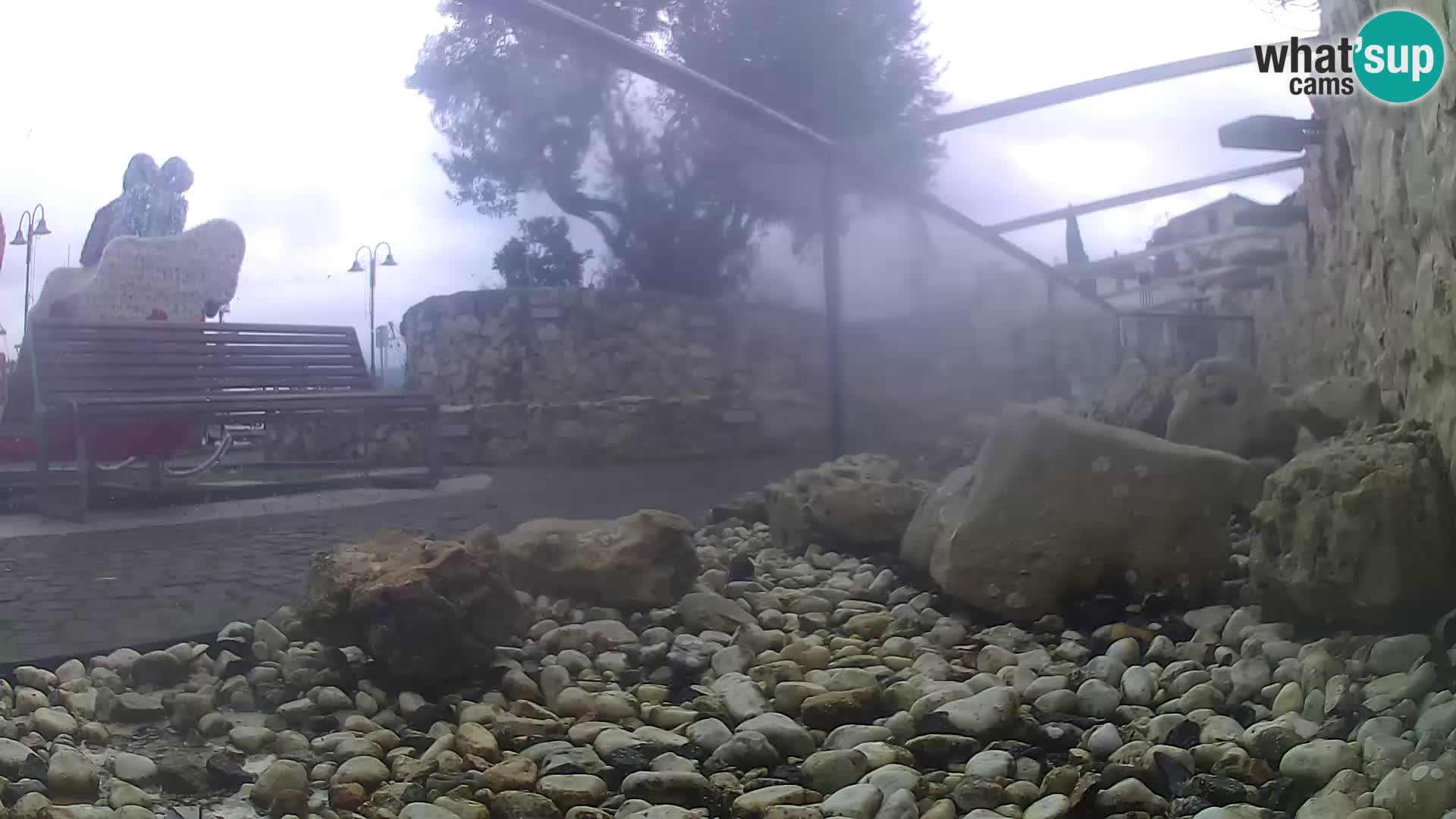 Outdoor Marine Aquarium Rogoznica webcam Croatia