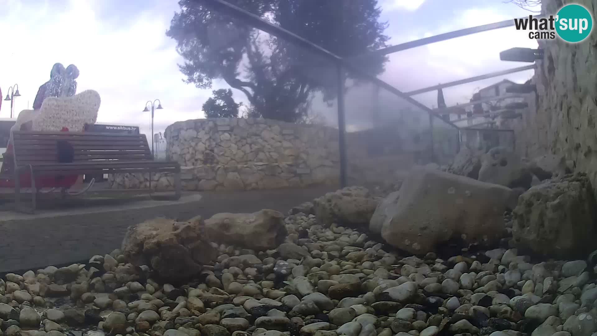Webcam de l’aquarium marin extérieur de Rogoznica Croatie