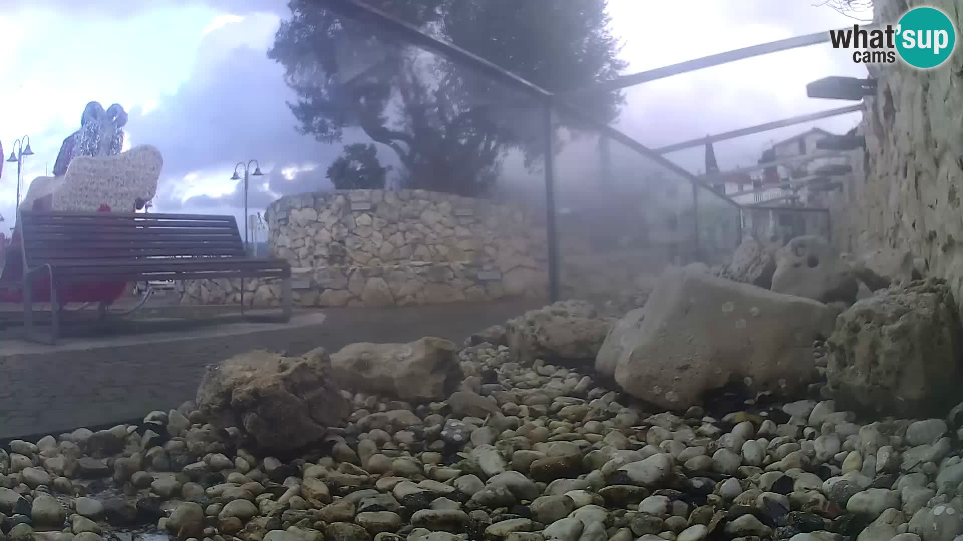 Acuario marino al aire libre Rogoznica webcam Croacia