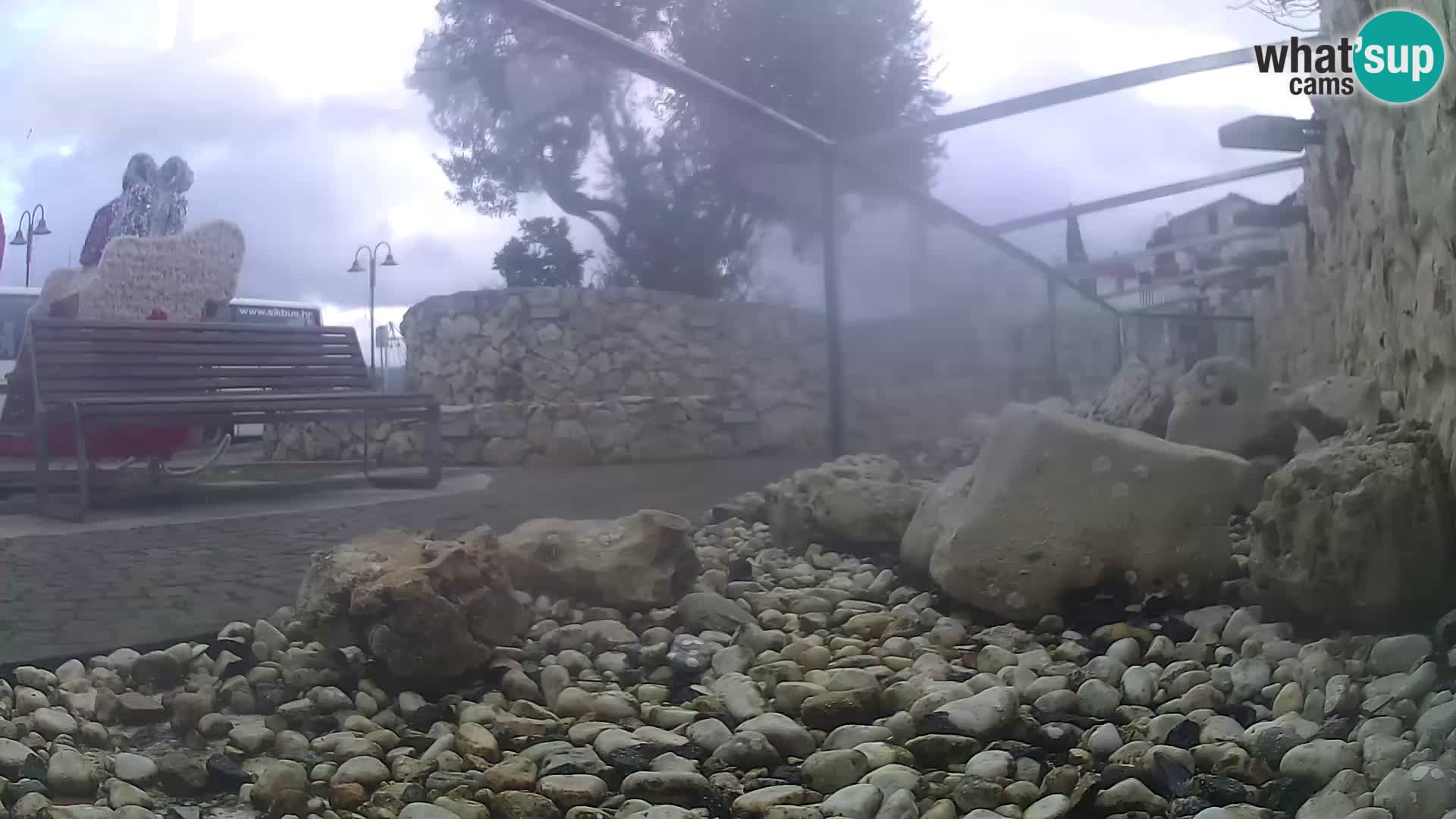 Acuario marino al aire libre Rogoznica webcam Croacia