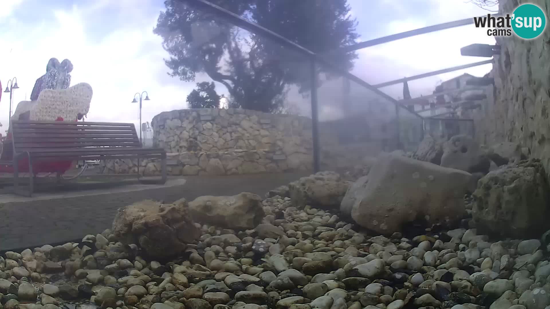 Zunanji morski akvarij Rogoznica spletna kamera Hrvaška