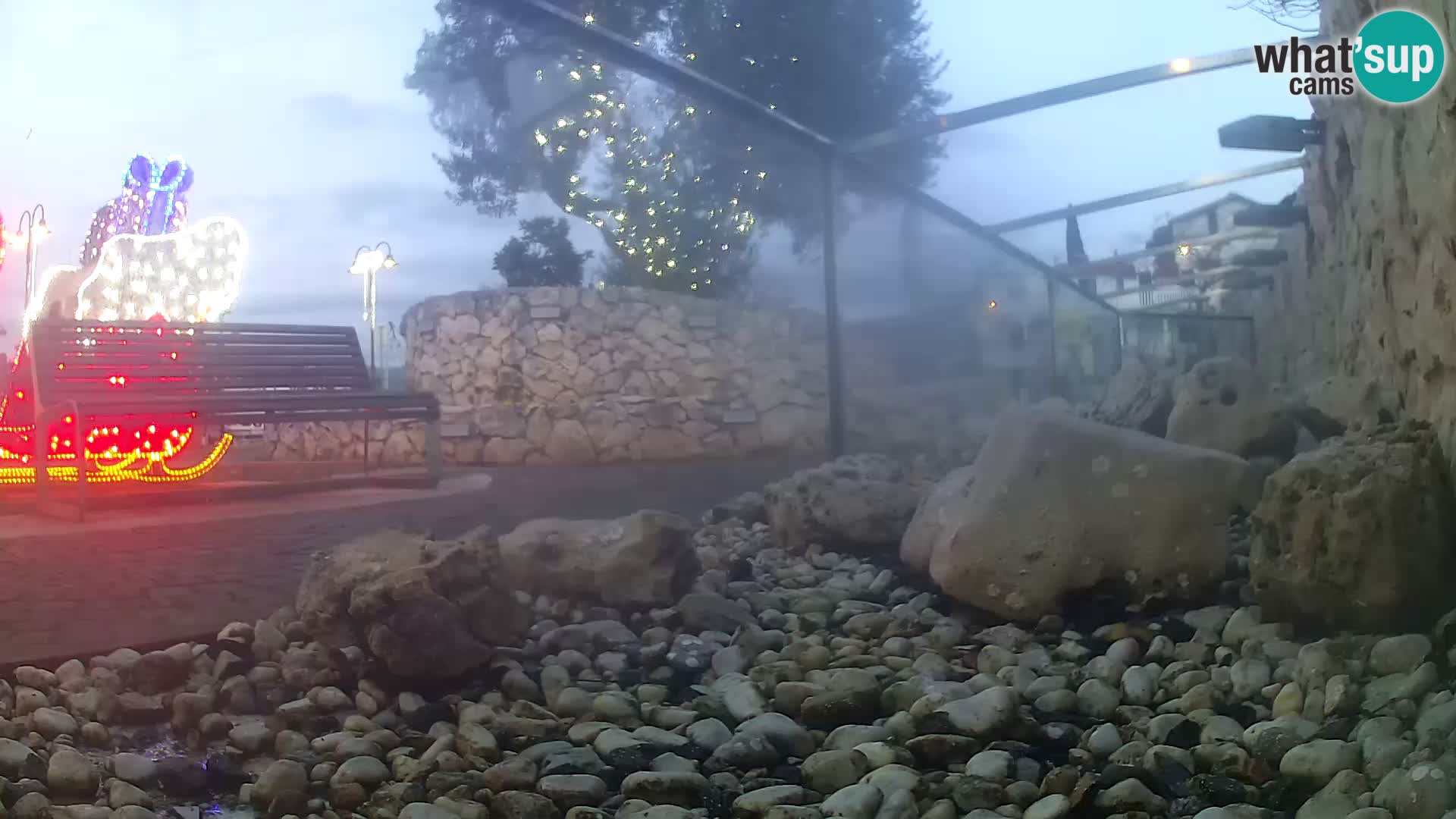 Webcam de l’aquarium marin extérieur de Rogoznica Croatie
