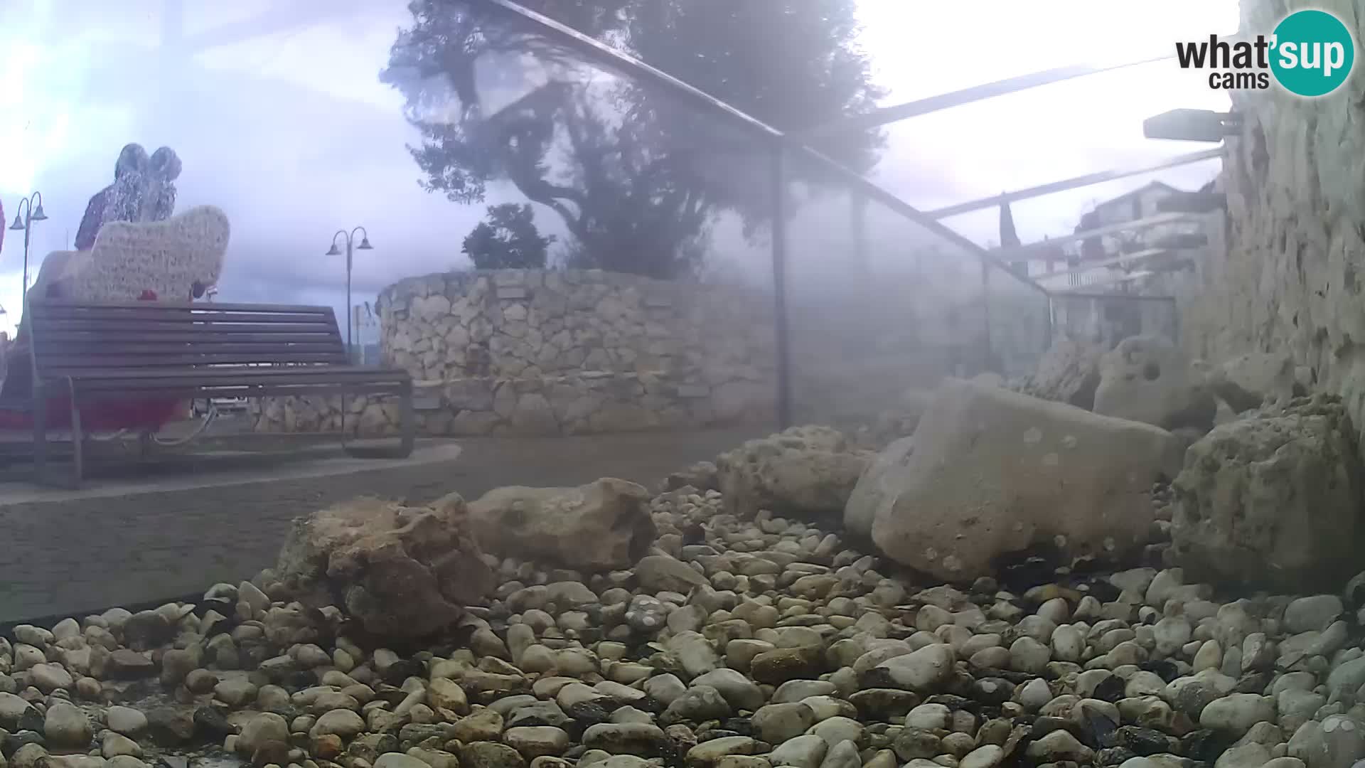 Webcam de l’aquarium marin extérieur de Rogoznica Croatie