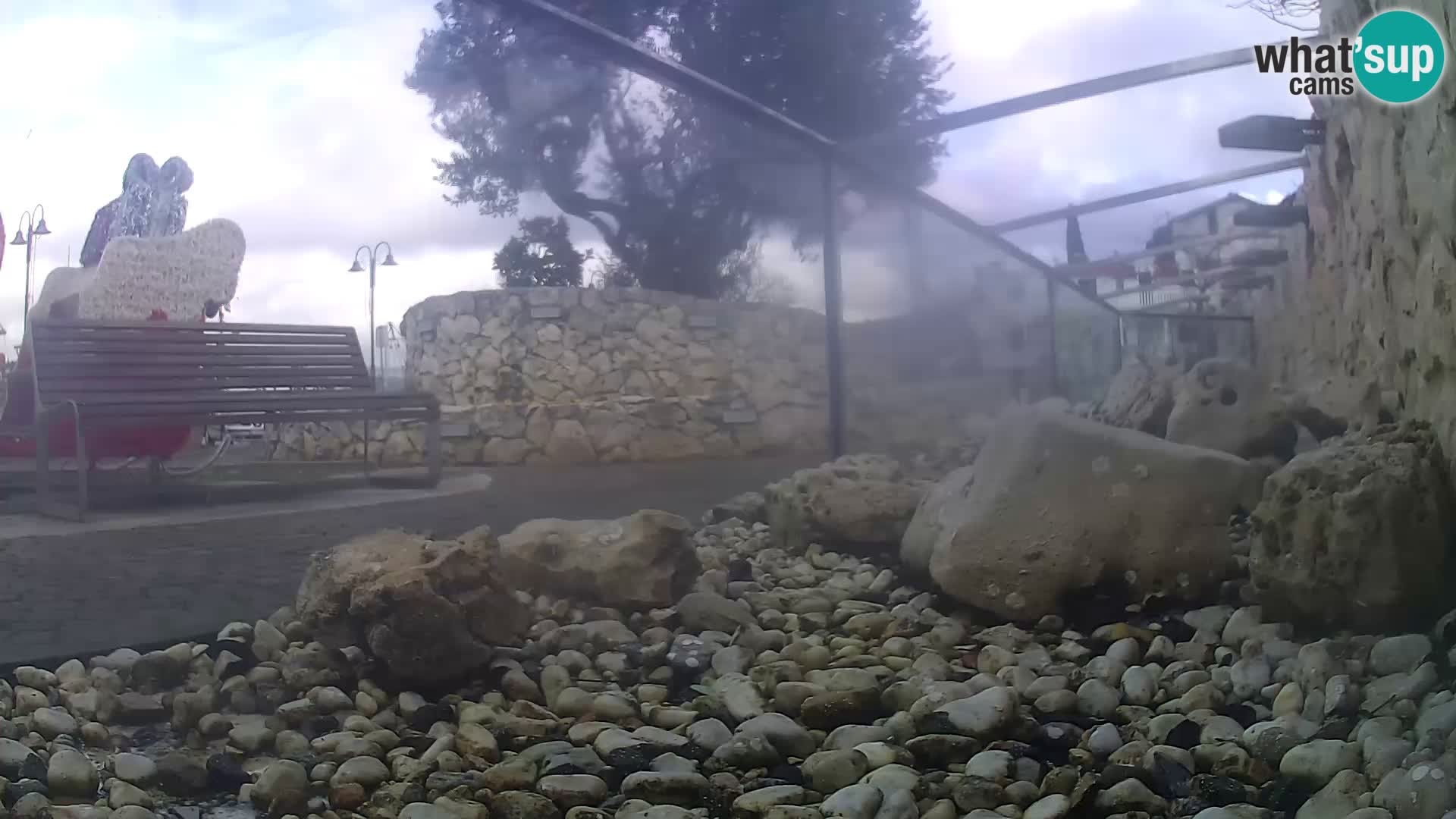 Outdoor Marine Aquarium Rogoznica webcam Croatia