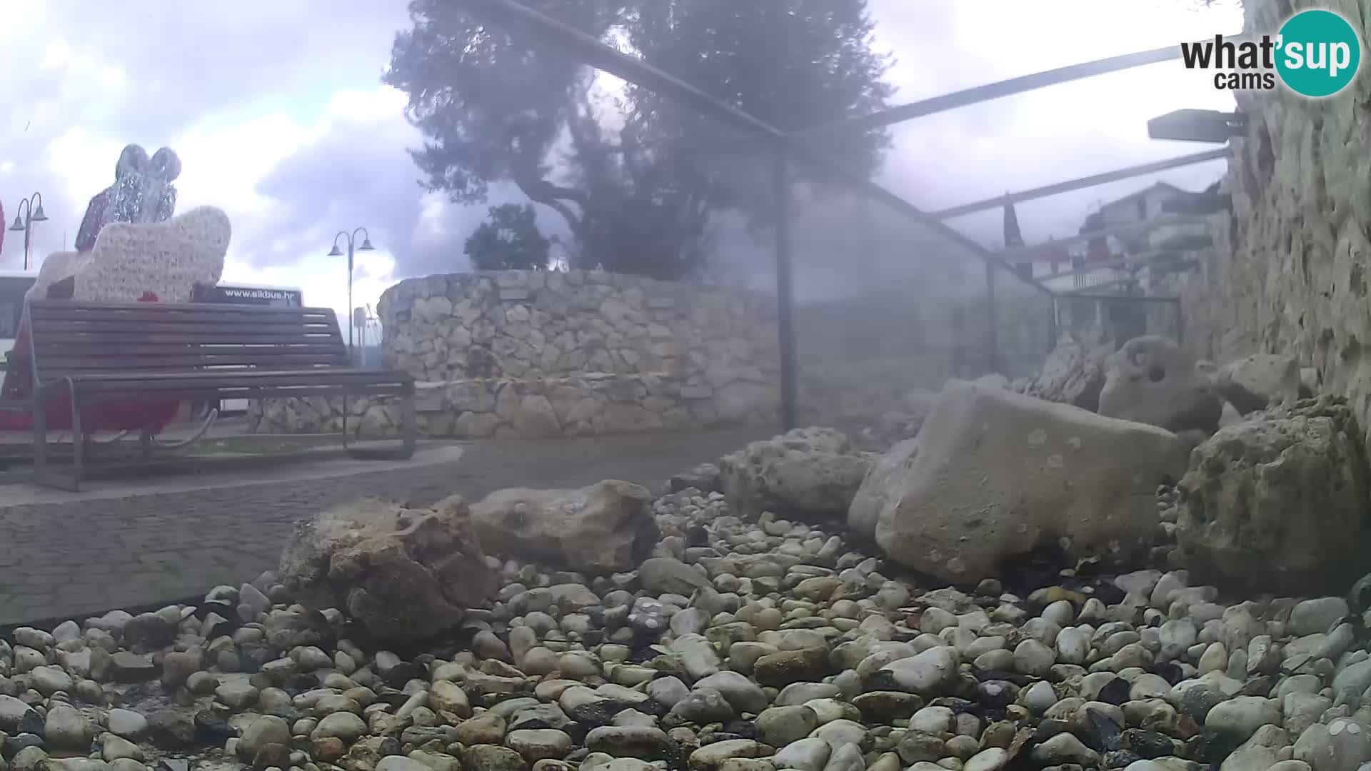 Acuario marino al aire libre Rogoznica webcam Croacia