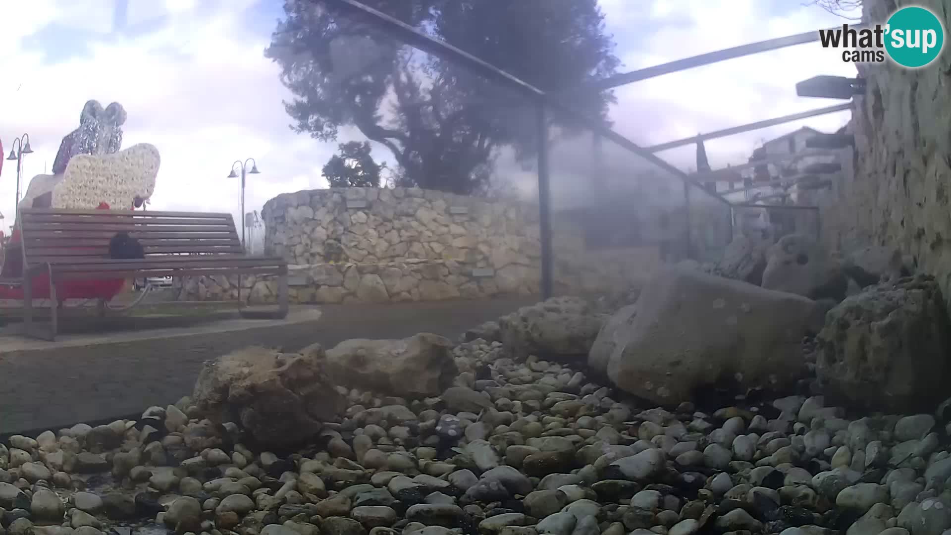 Webcam de l’aquarium marin extérieur de Rogoznica Croatie