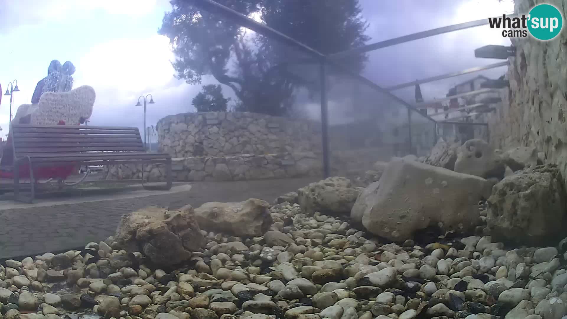 Aquario marino esterno –  Rogoznica livecam Croazia