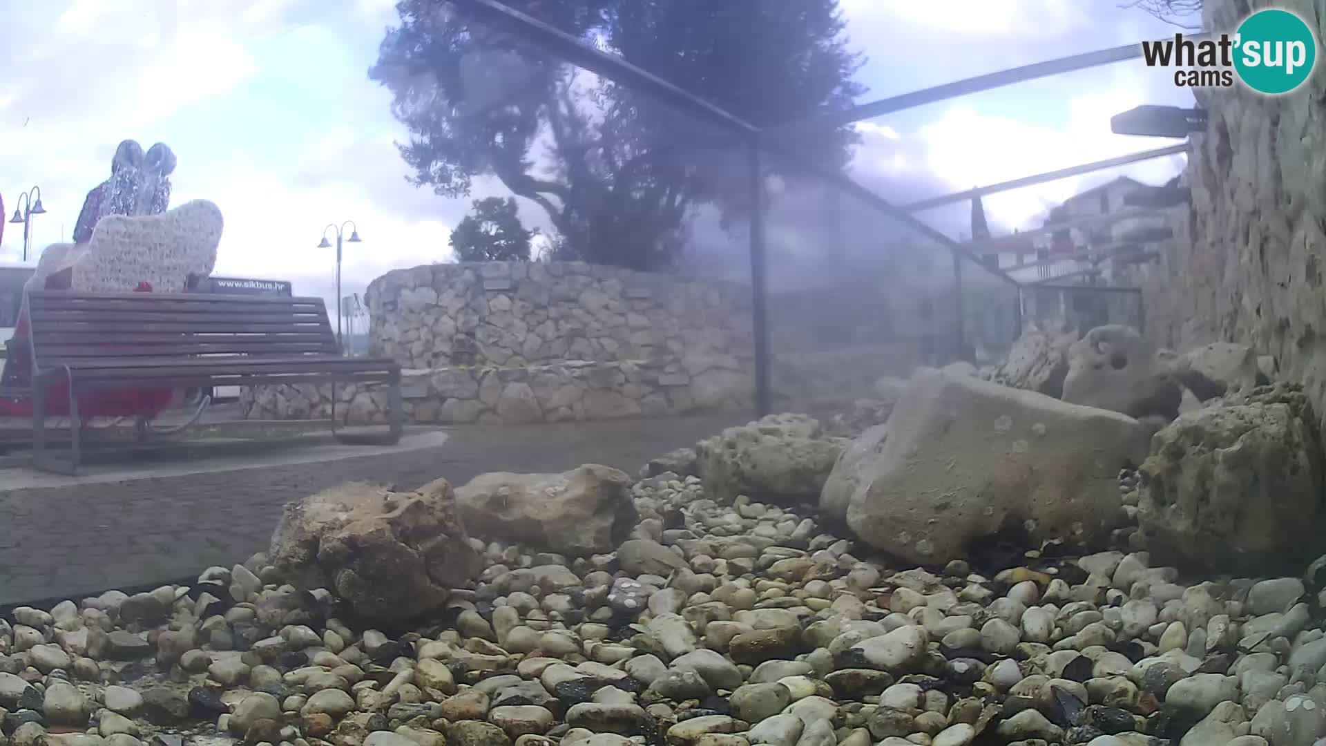 Webcam de l’aquarium marin extérieur de Rogoznica Croatie