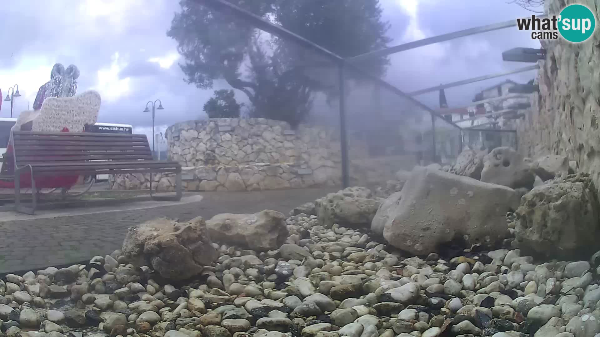 Aquario marino esterno –  Rogoznica livecam Croazia