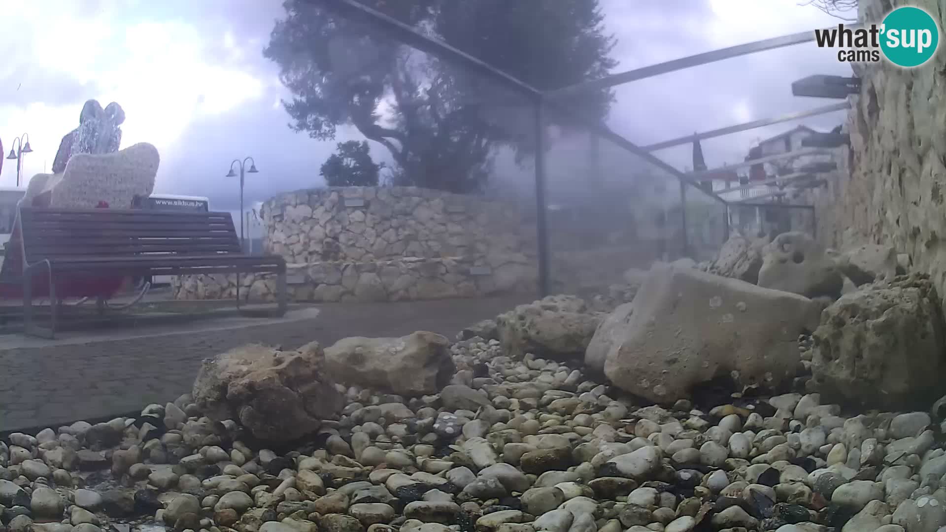 Acuario marino al aire libre Rogoznica webcam Croacia