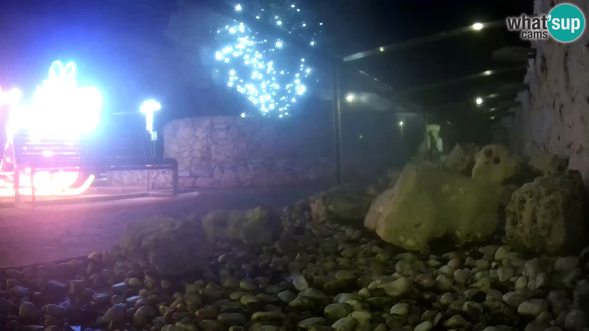Outdoor Marine Aquarium Rogoznica webcam Croatia