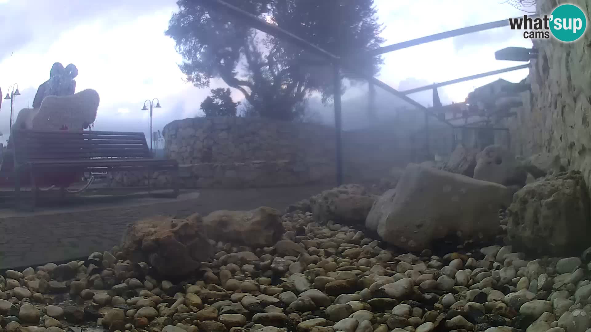 Acuario marino al aire libre Rogoznica webcam Croacia