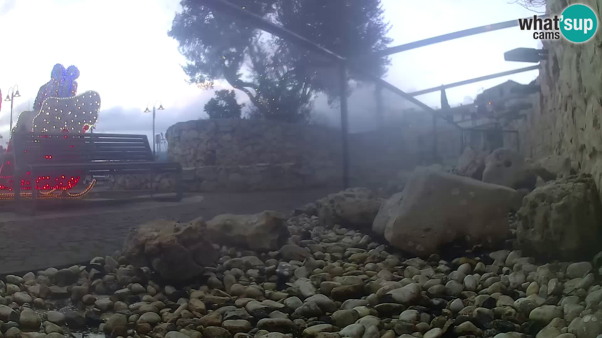 Acuario marino al aire libre Rogoznica webcam Croacia