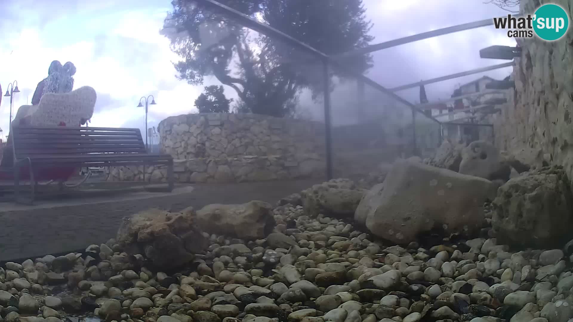 Acuario marino al aire libre Rogoznica webcam Croacia