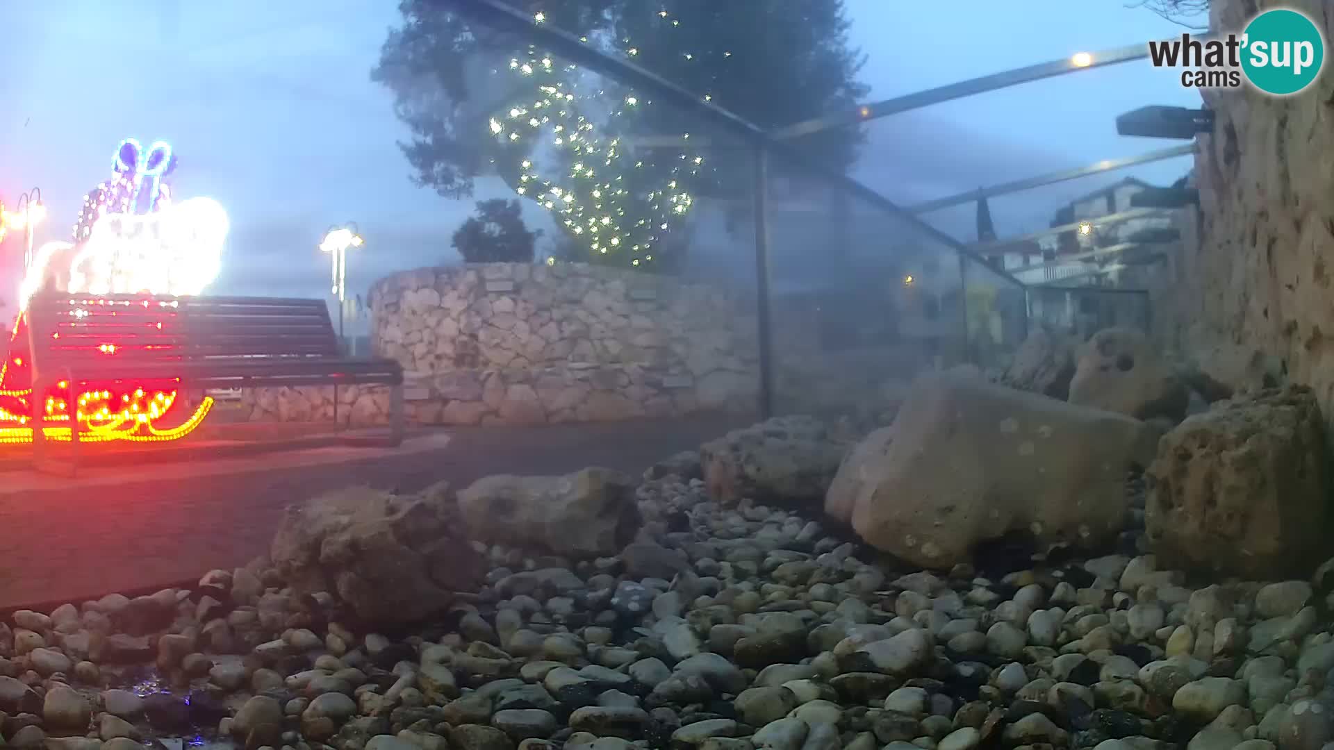 Outdoor Marine Aquarium Rogoznica webcam Croatia