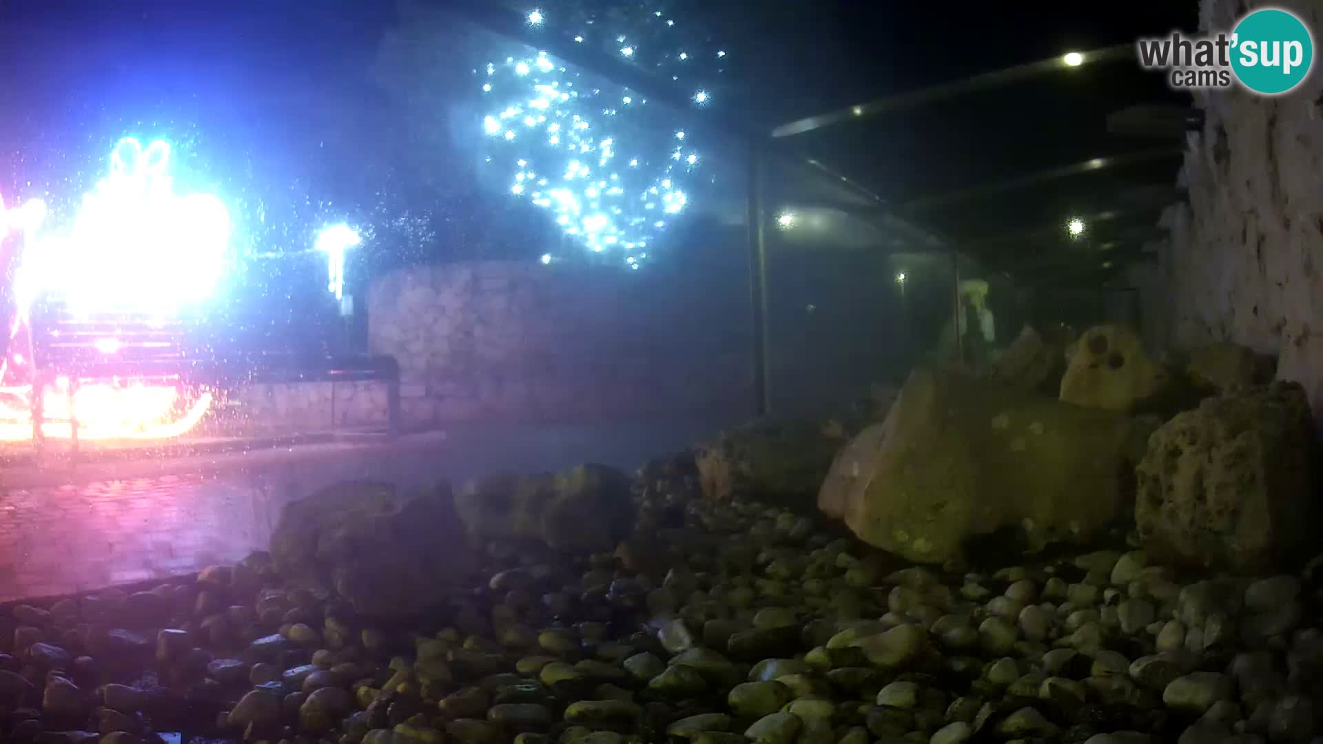 Acuario marino al aire libre Rogoznica webcam Croacia
