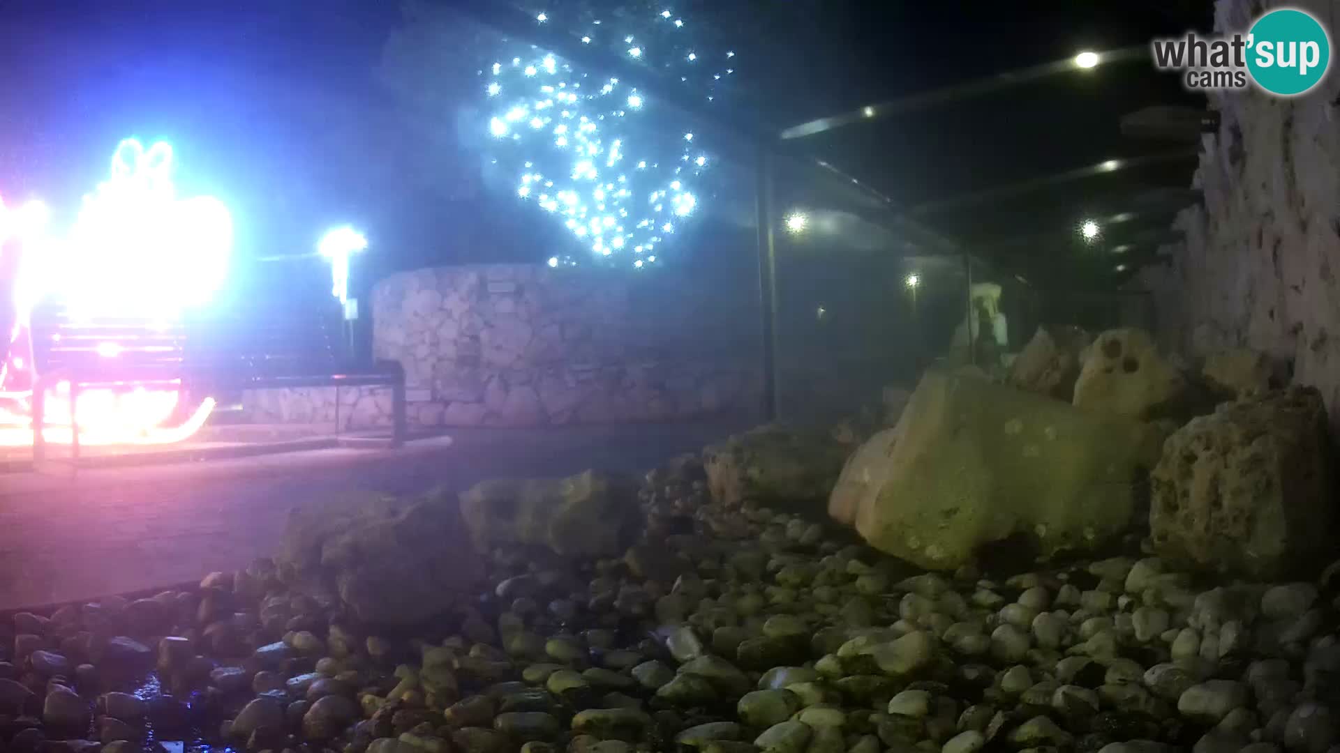 Aquario marino esterno –  Rogoznica livecam Croazia