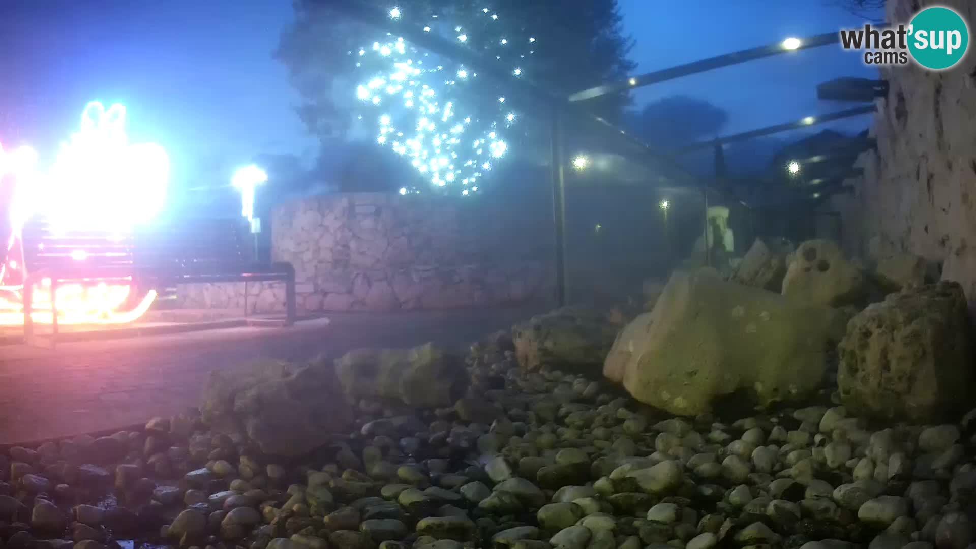 Webcam de l’aquarium marin extérieur de Rogoznica Croatie