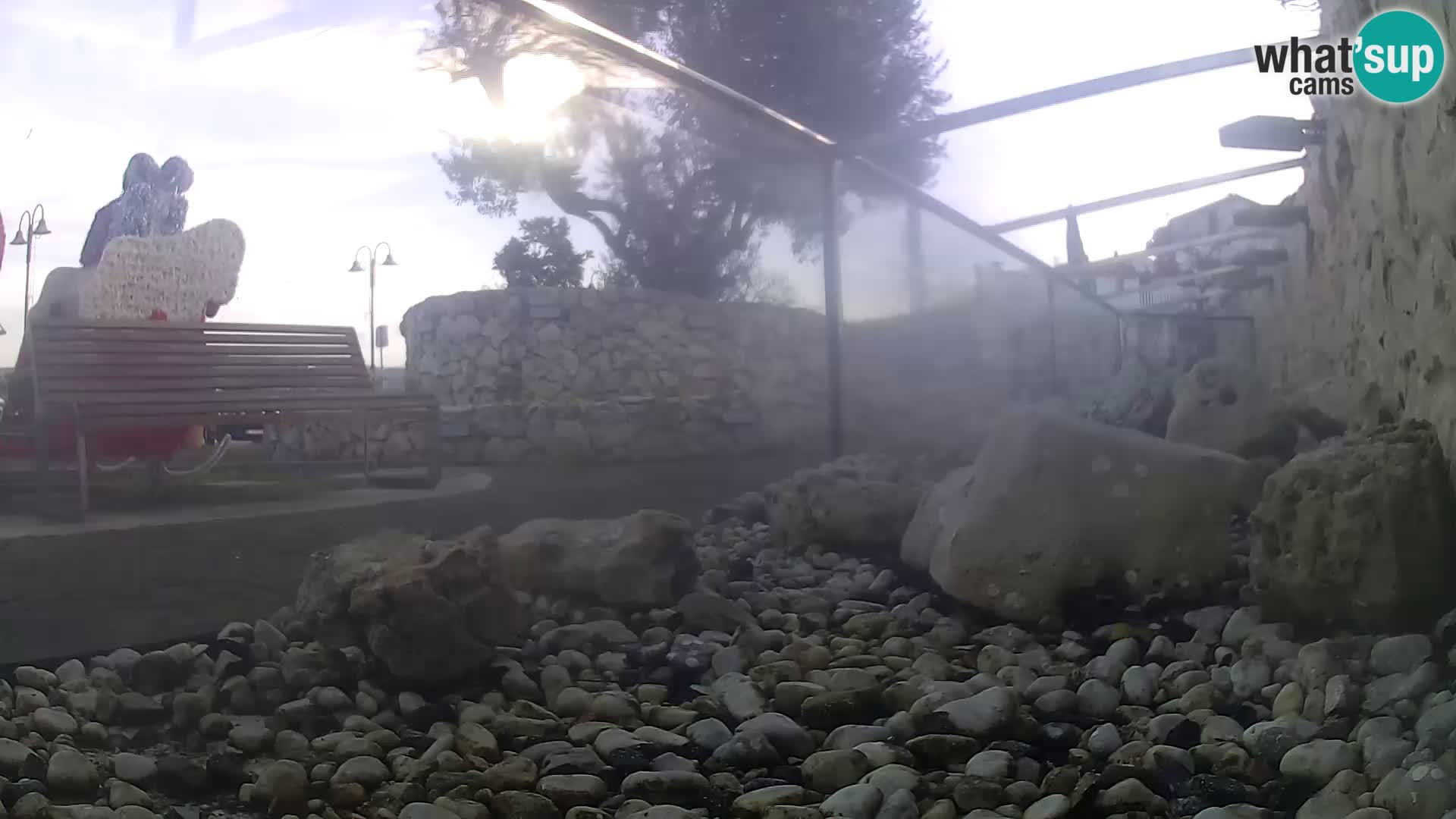 Aquario marino esterno –  Rogoznica livecam Croazia