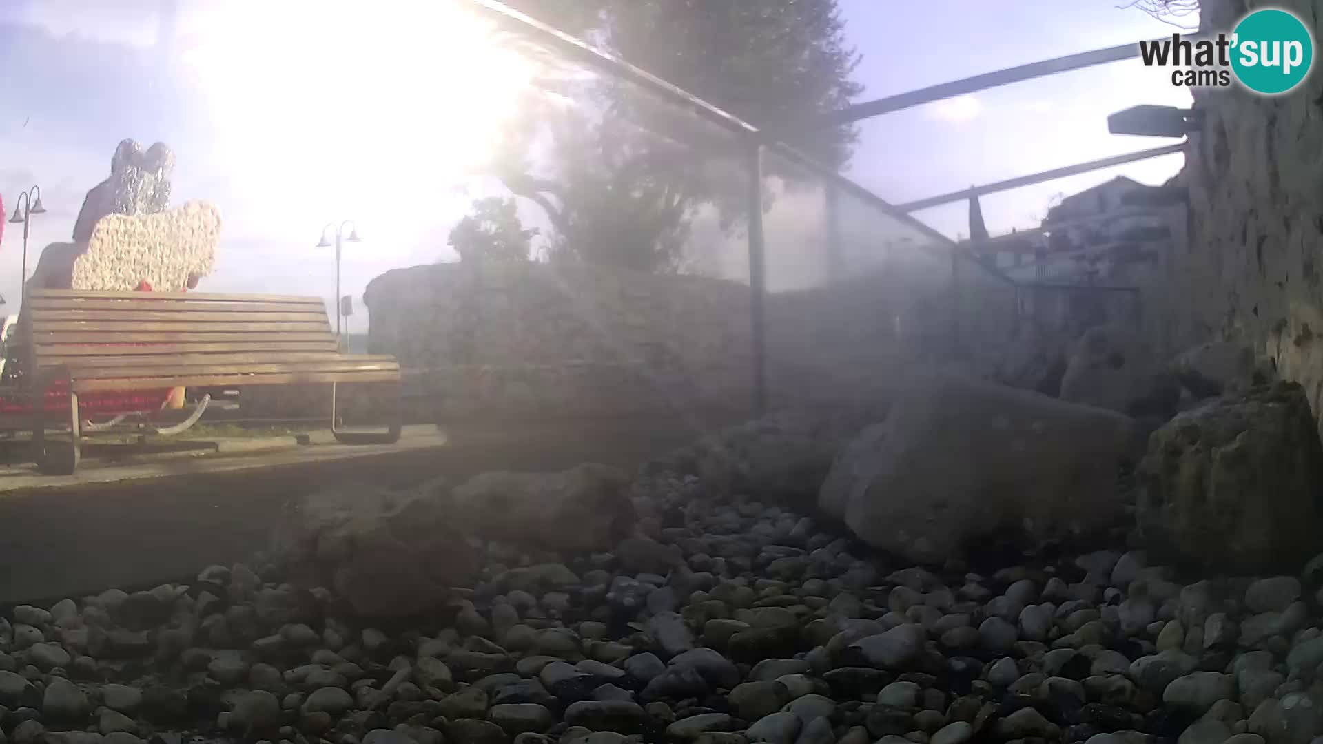 Zunanji morski akvarij Rogoznica spletna kamera Hrvaška