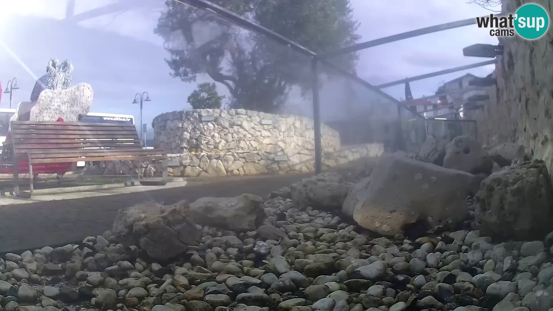 Aquario marino esterno –  Rogoznica livecam Croazia