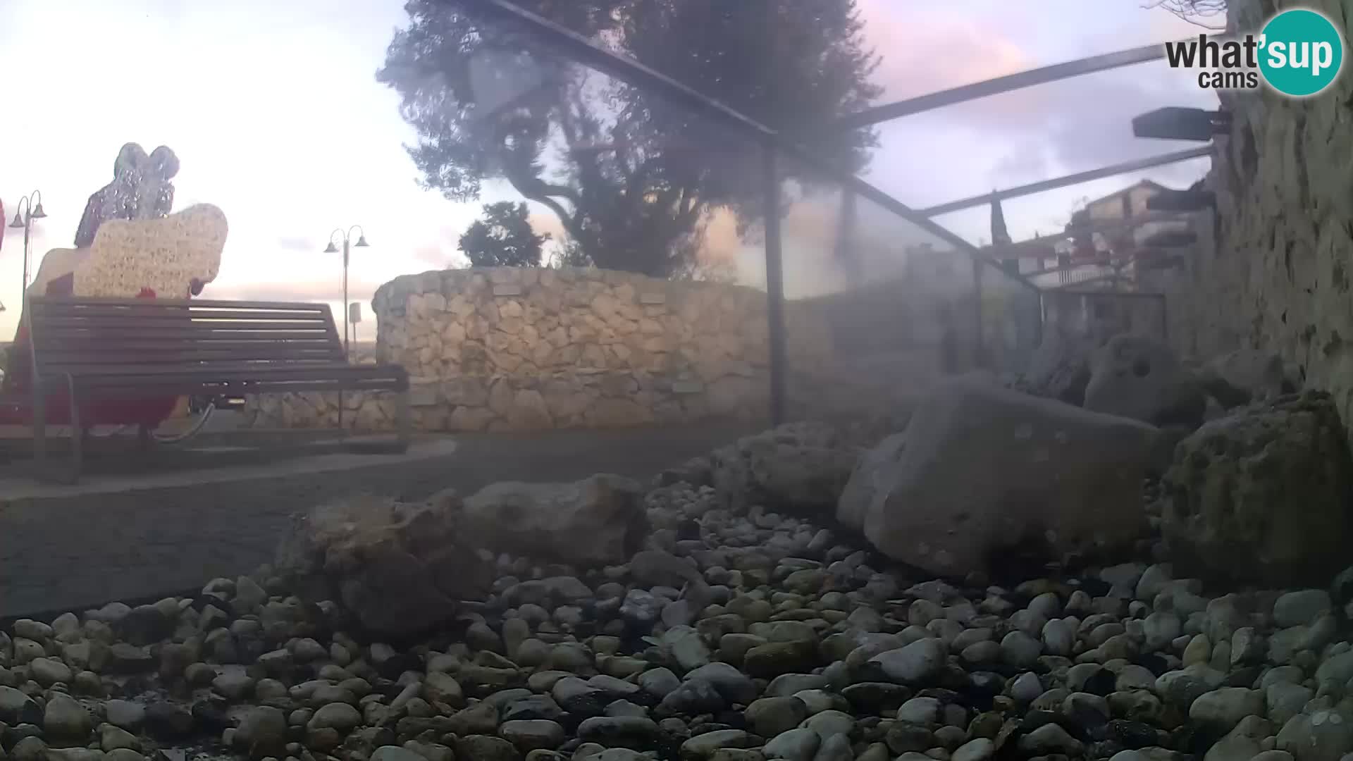 Zunanji morski akvarij Rogoznica spletna kamera Hrvaška