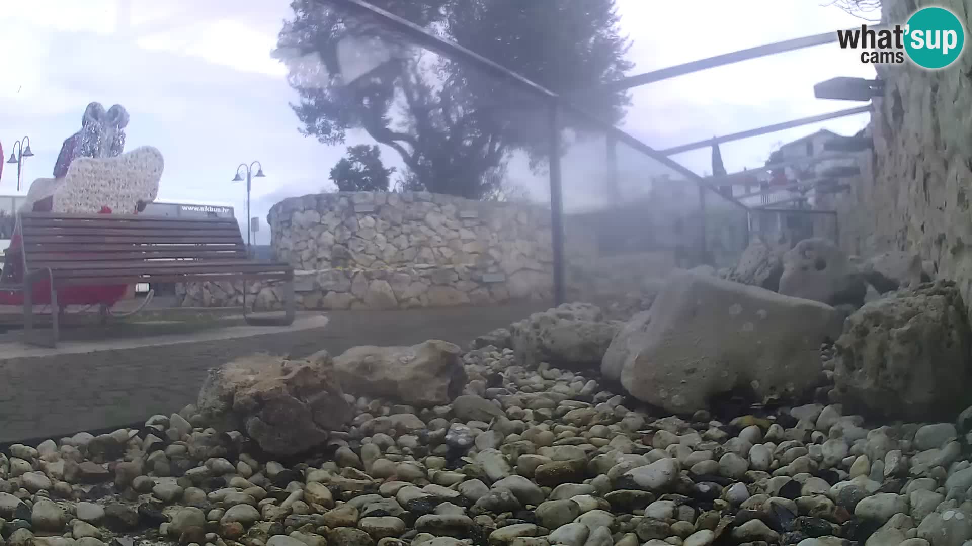 Outdoor Marine Aquarium Rogoznica webcam Croatia