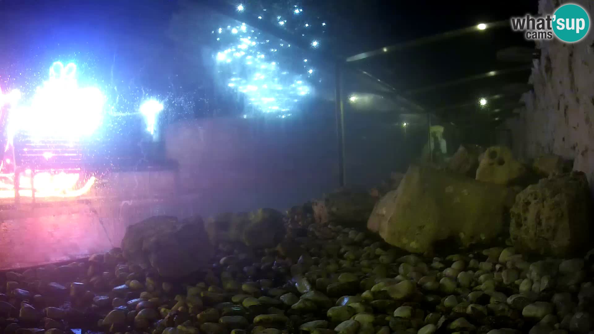 Aquario marino esterno –  Rogoznica livecam Croazia