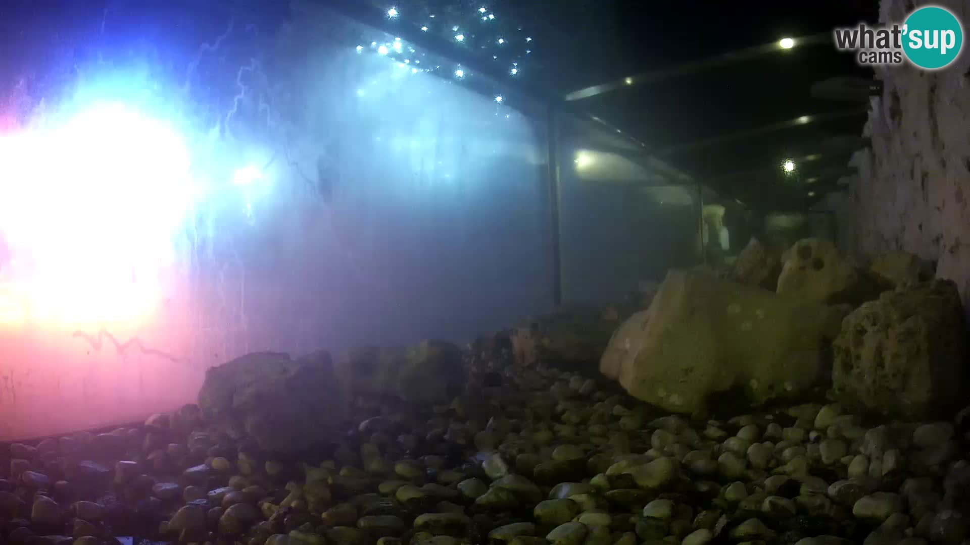 Outdoor Marine Aquarium Rogoznica webcam Croatia