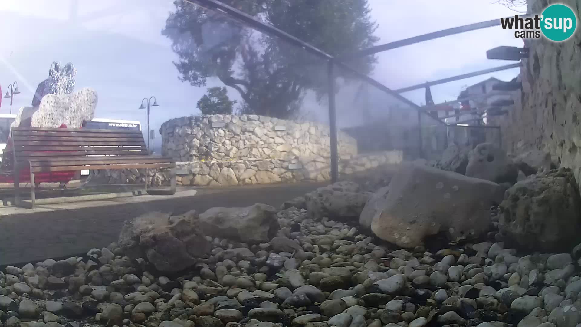 Acuario marino al aire libre Rogoznica webcam Croacia