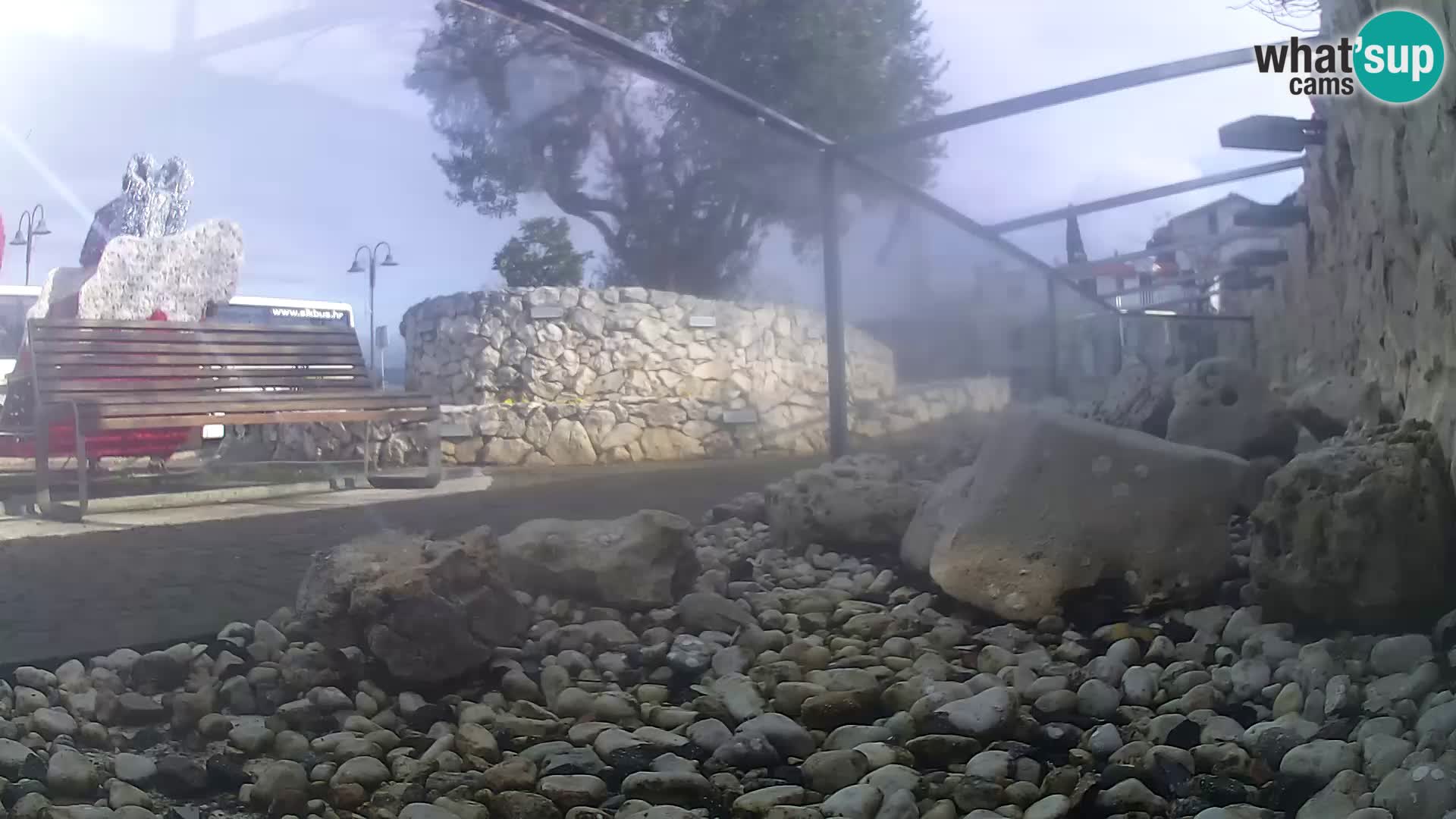 Zunanji morski akvarij Rogoznica spletna kamera Hrvaška