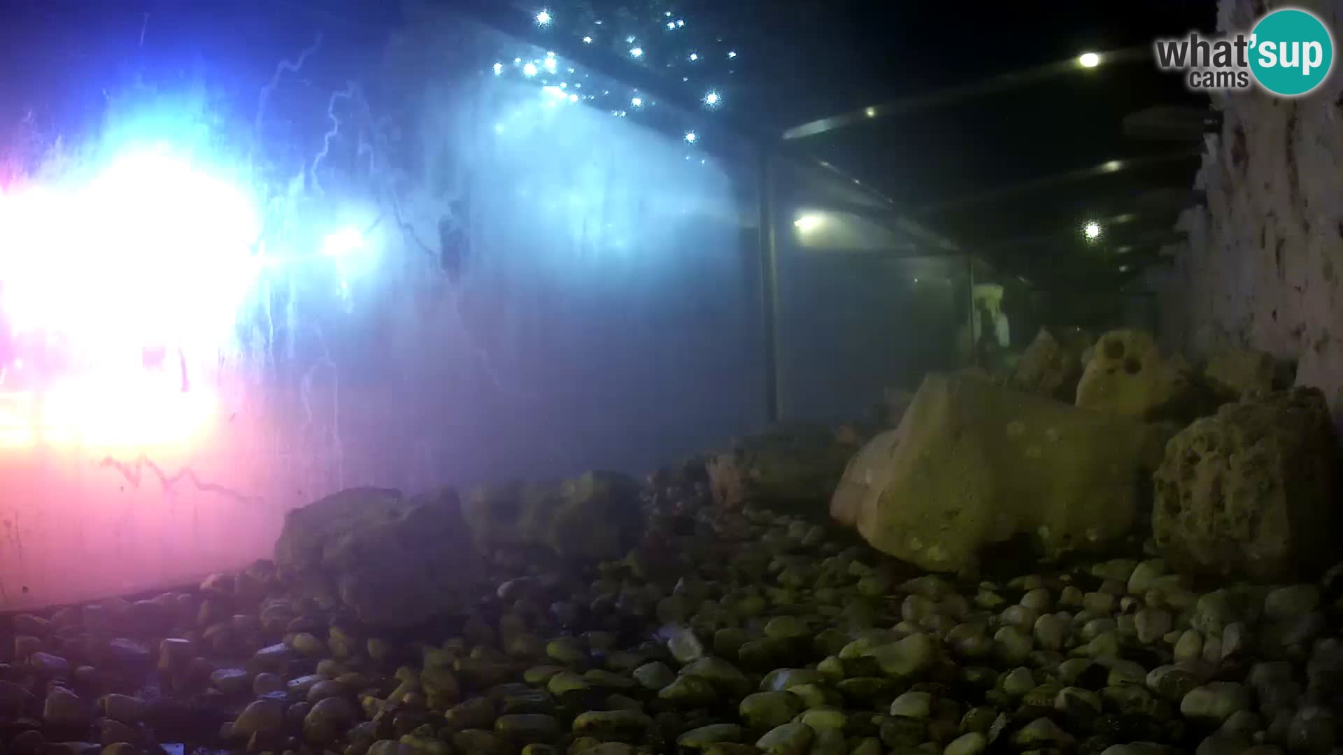 Marine Aquarium im Freien Rogoznica webcam Kroatien