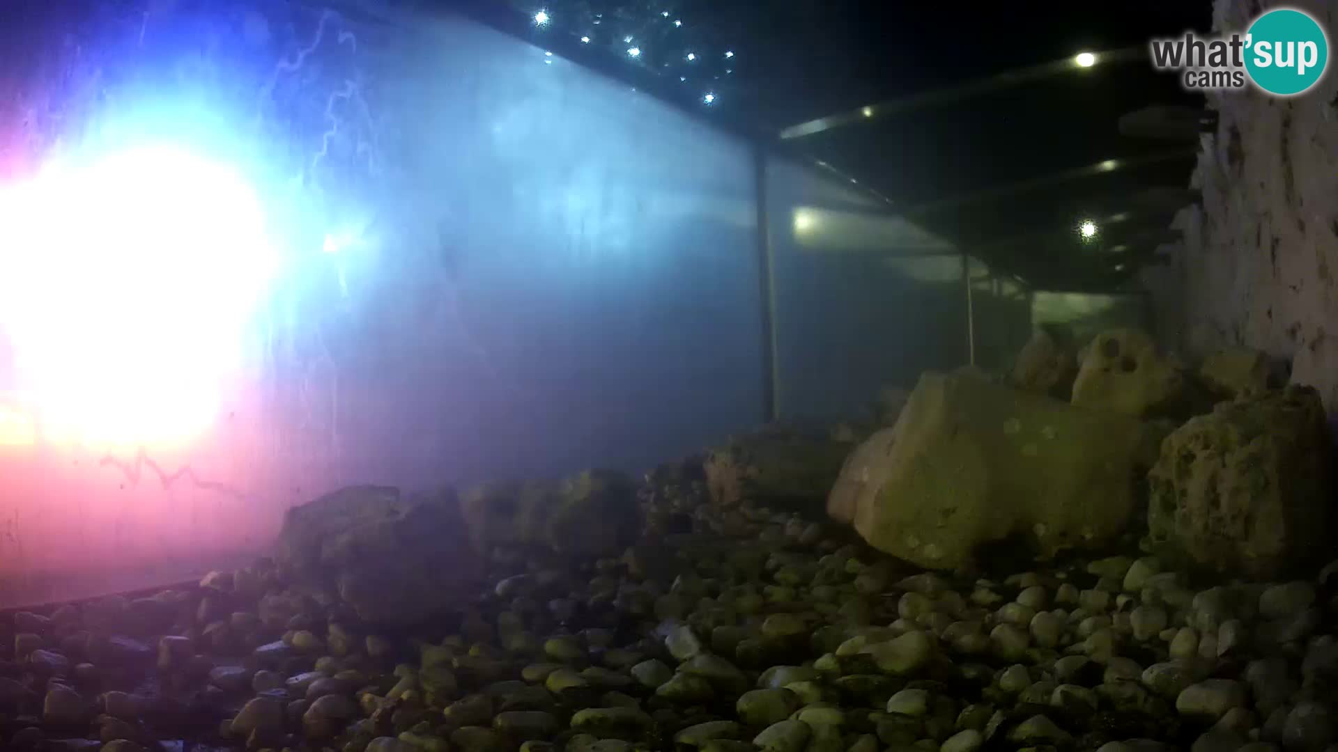 Marine Aquarium im Freien Rogoznica webcam Kroatien